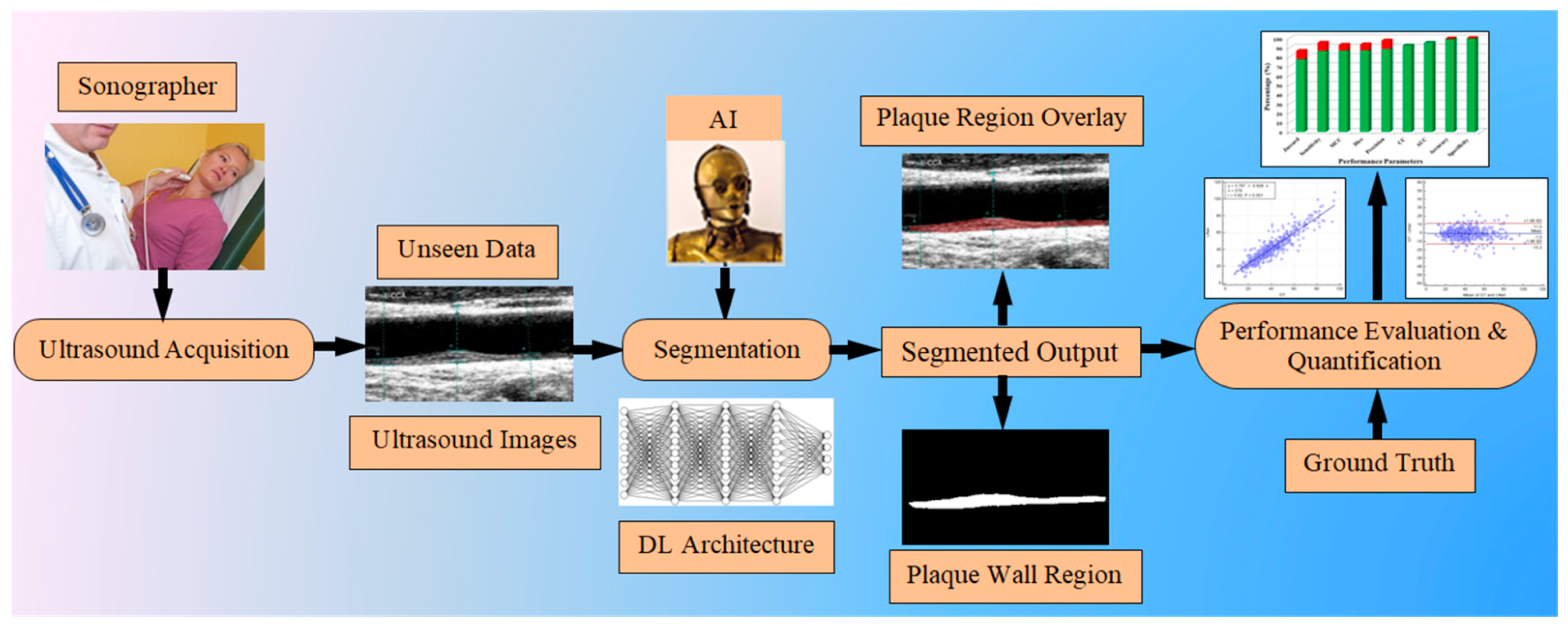 Diagnostics 11 02257 g001