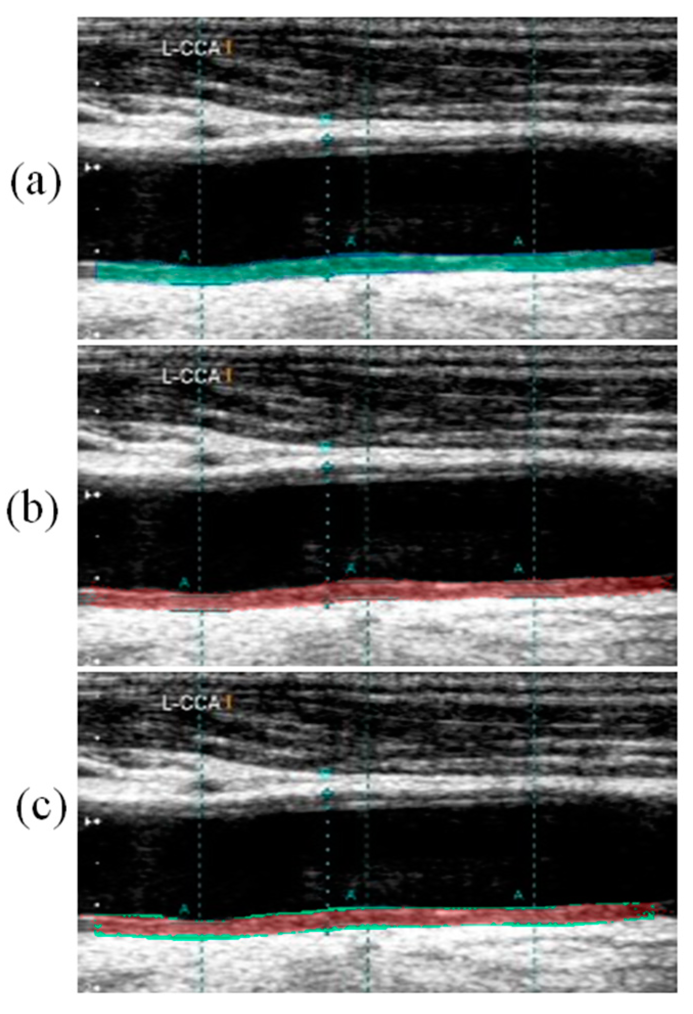 Diagnostics 11 02257 g004
