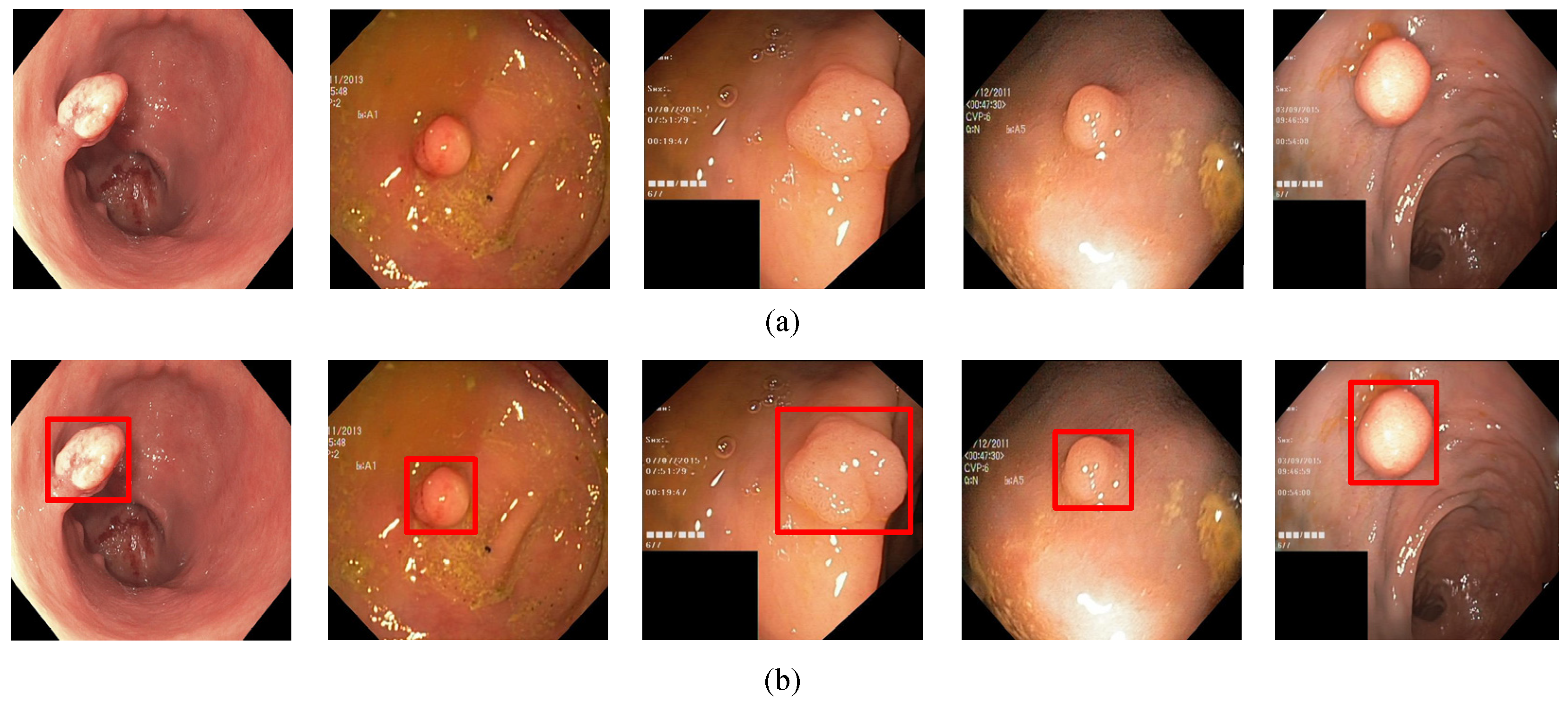 Diagnostics 11 02264 g001 Diagnostics 11 02264 g001