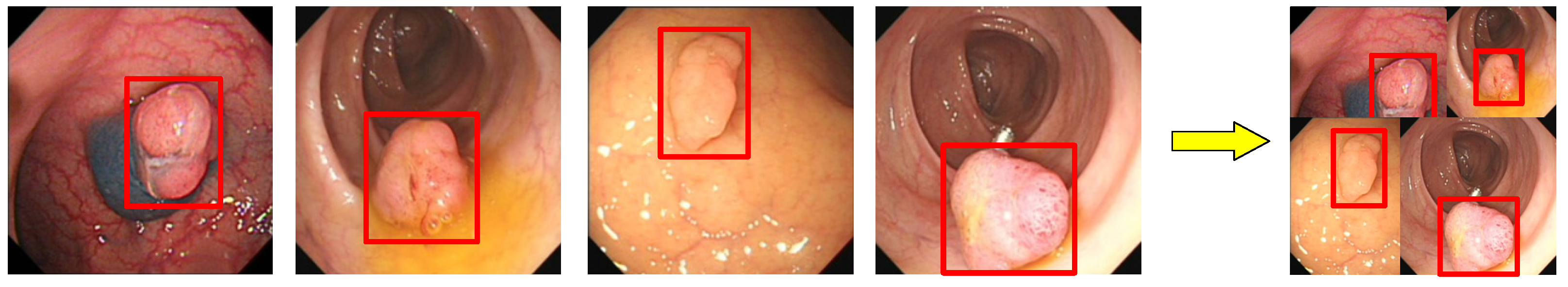 Diagnostics 11 02264 g003 Diagnostics 11 02264 g003