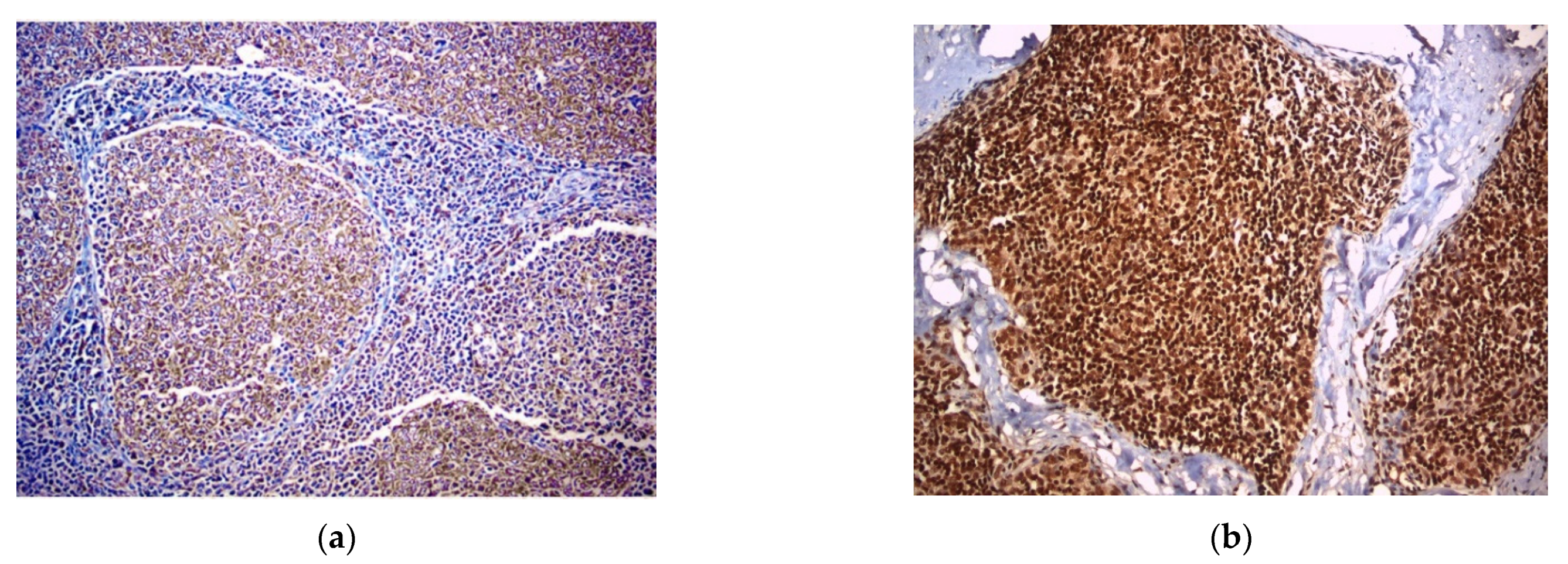 Diagnostics 11 02265 g002a Diagnostics 11 02265 g002a