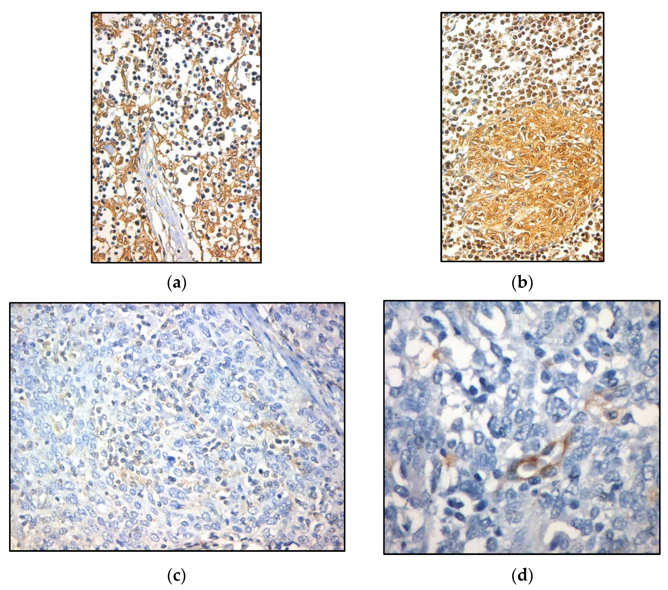 Diagnostics 11 02265 g004a Diagnostics 11 02265 g004a