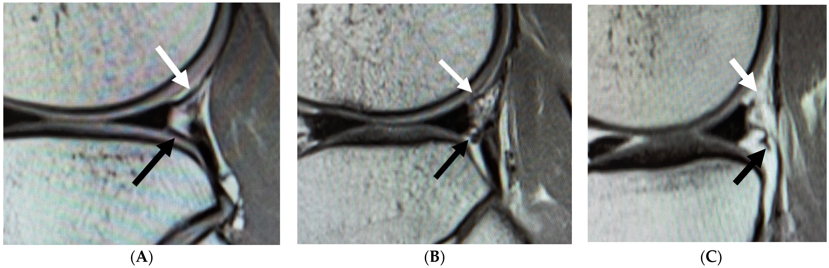 Diagnostics 11 02276 g001