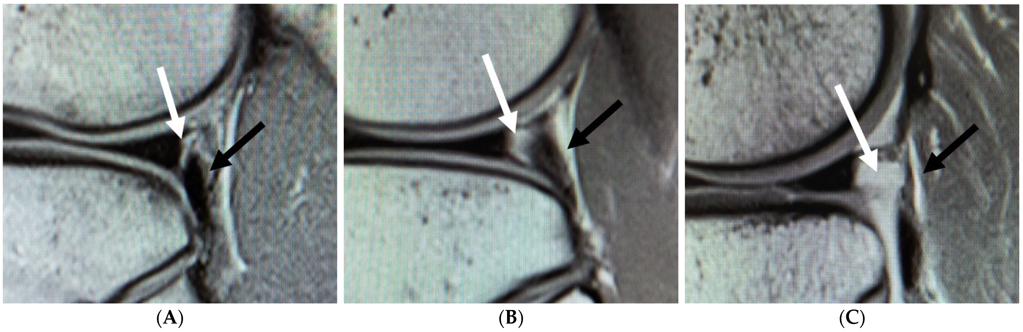 Diagnostics 11 02276 g002