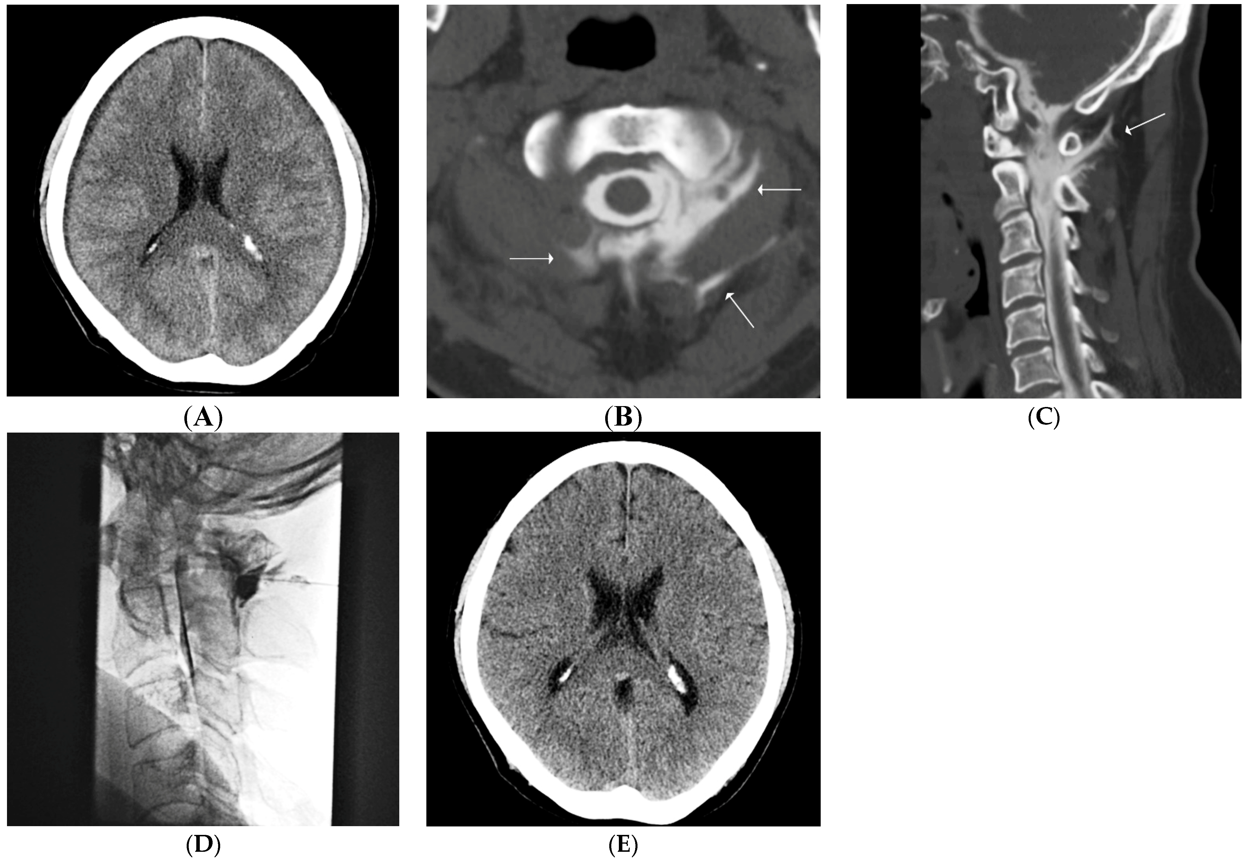 Diagnostics 11 02278 g001 Diagnostics 11 02278 g001