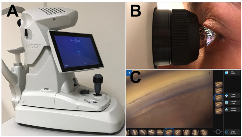 Diagnostics 11 02279 g001 Diagnostics 11 02279 g001