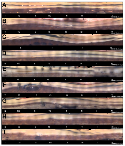 Diagnostics 11 02279 g002 Diagnostics 11 02279 g002