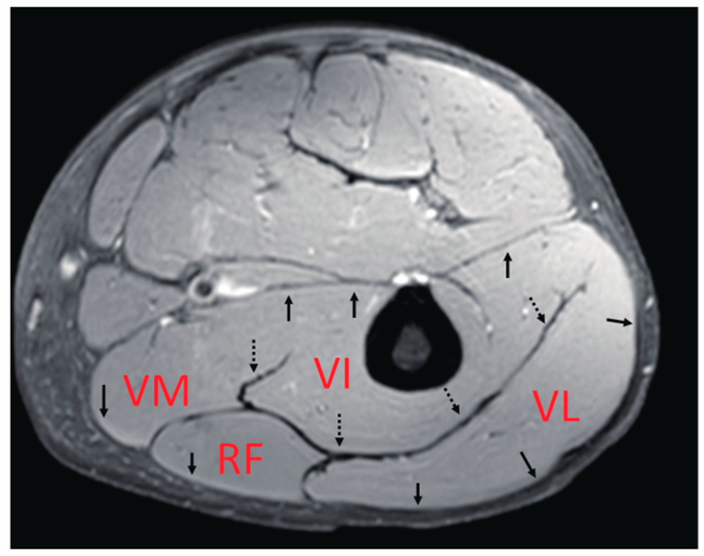 Diagnostics 11 02280 g001 550