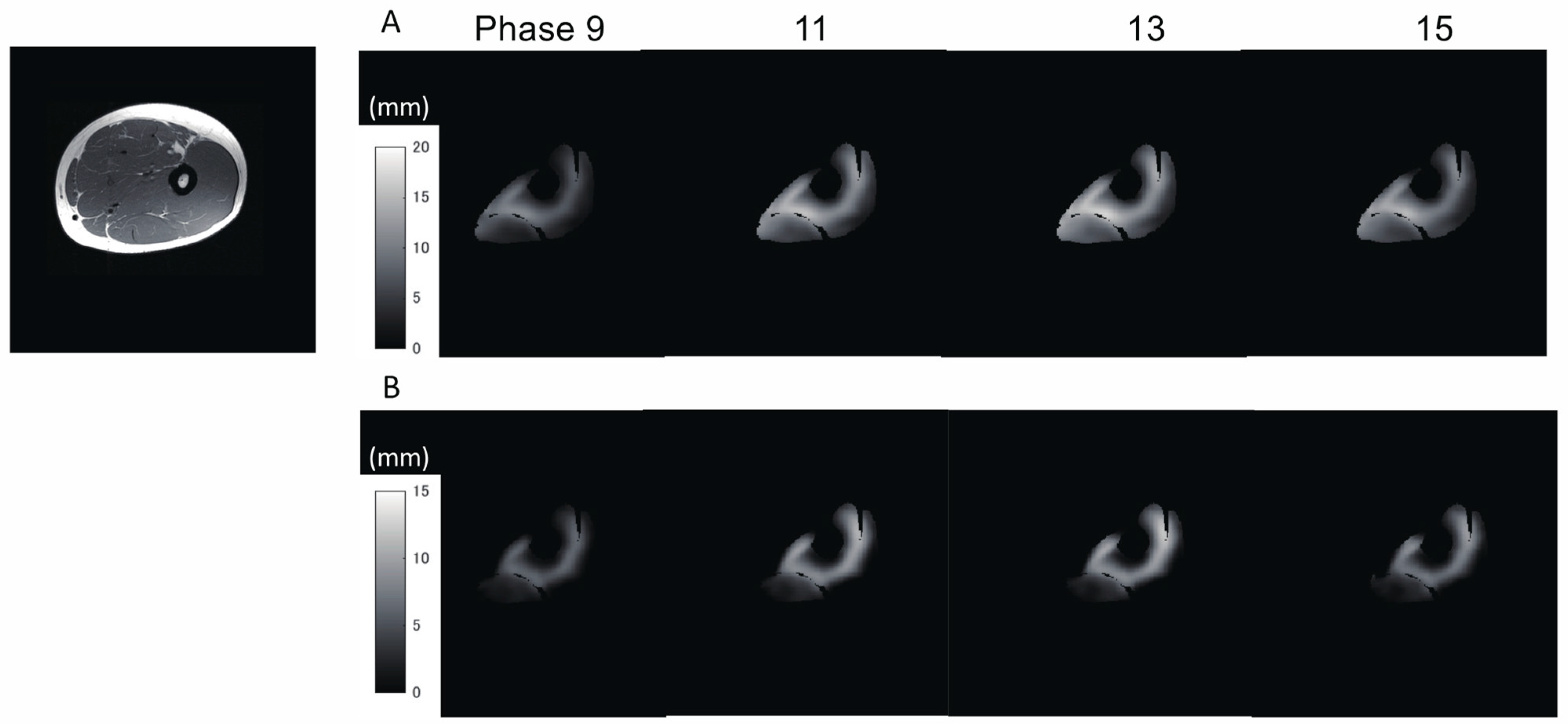 Diagnostics 11 02280 g003 550