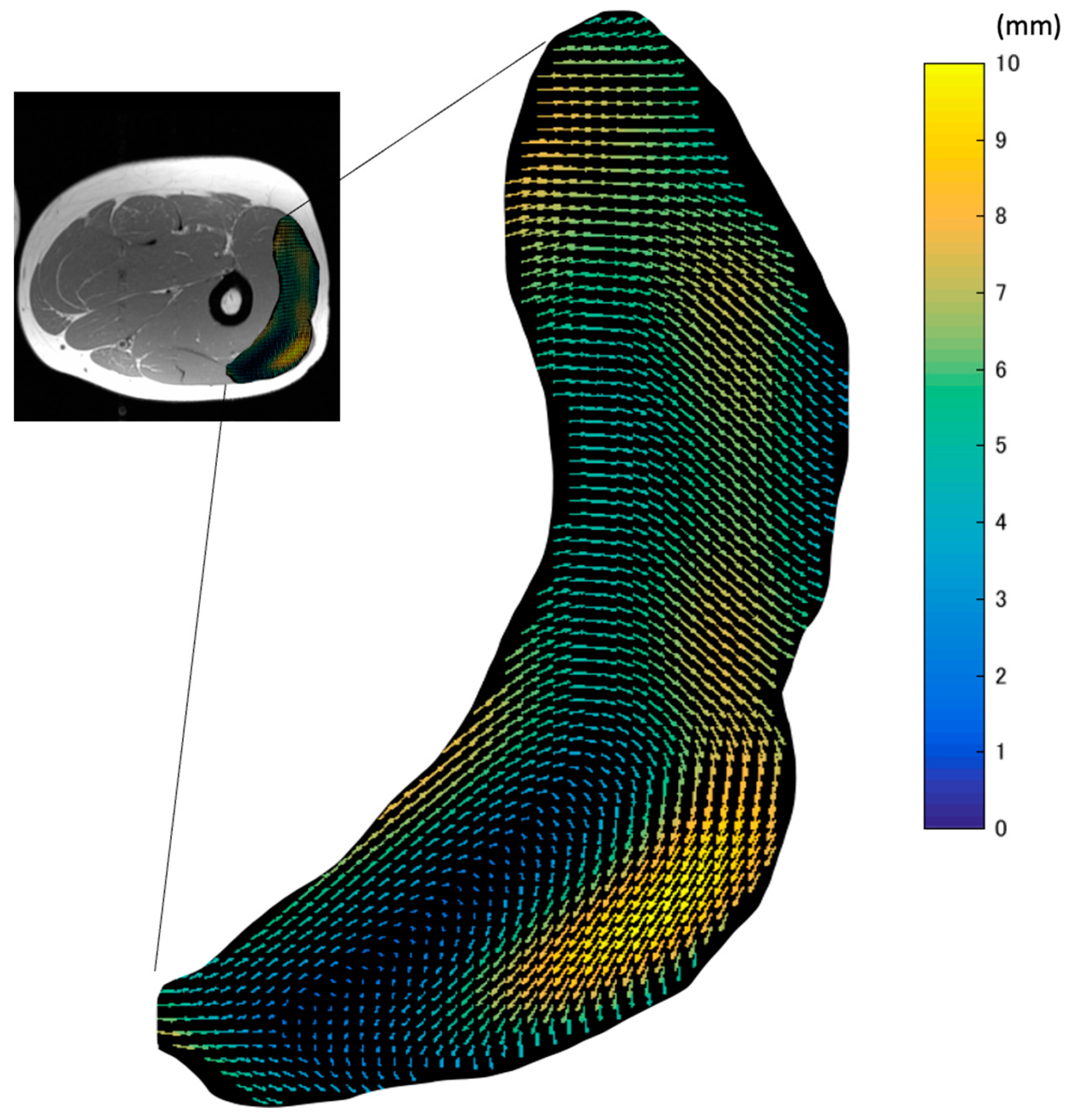 Diagnostics 11 02280 g004 550