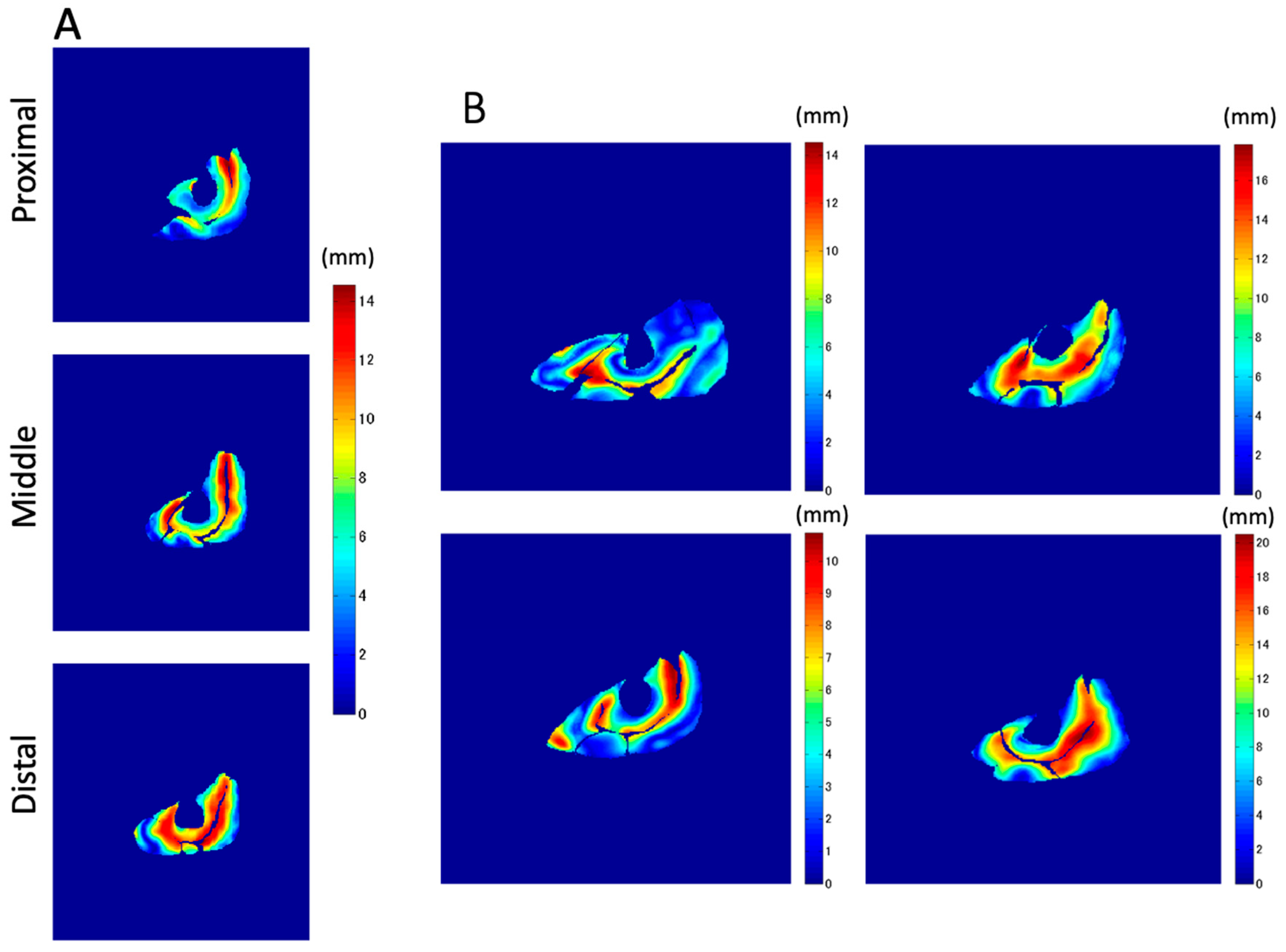 Diagnostics 11 02280 g008 550
