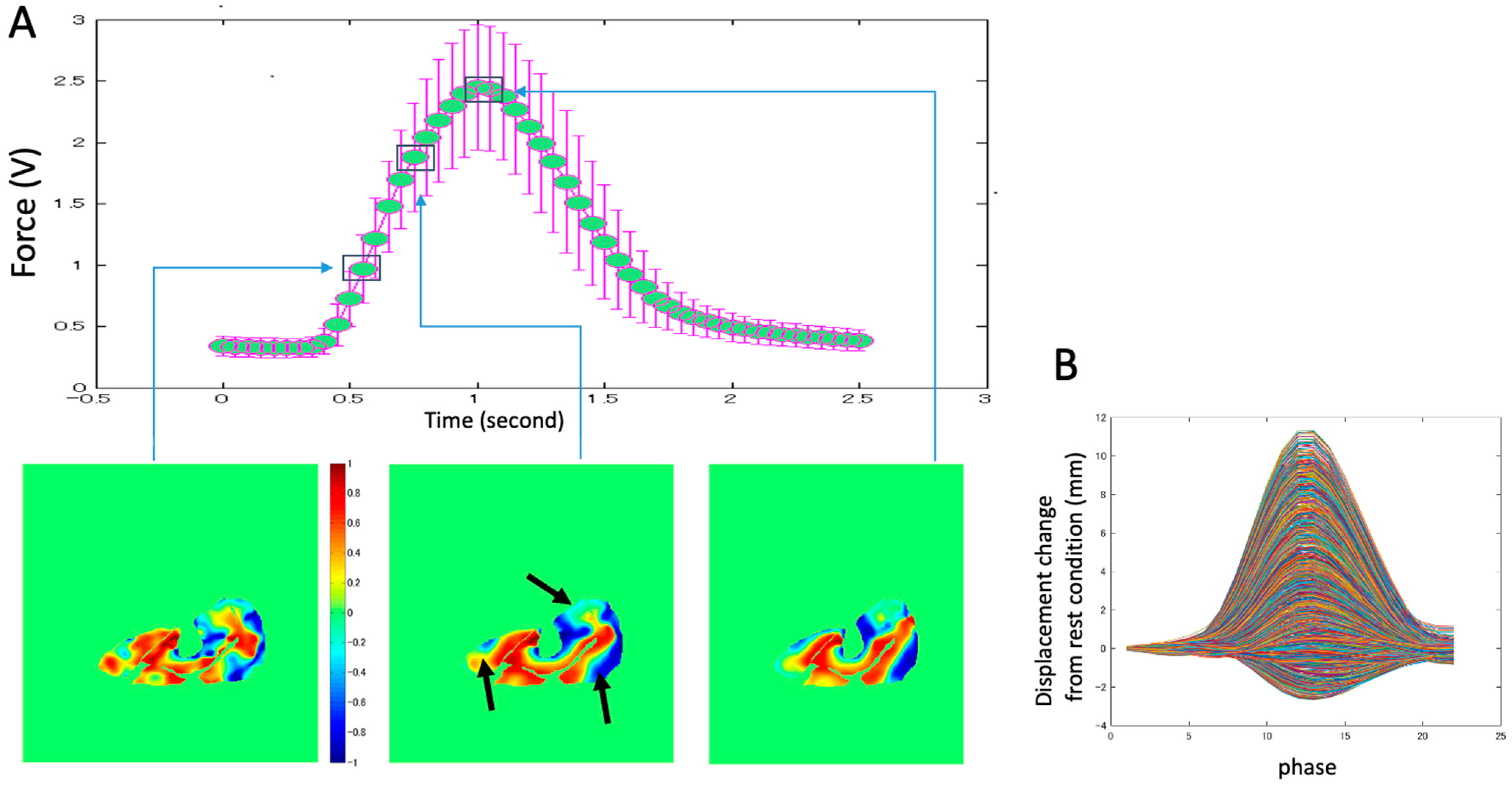Diagnostics 11 02280 g009 550