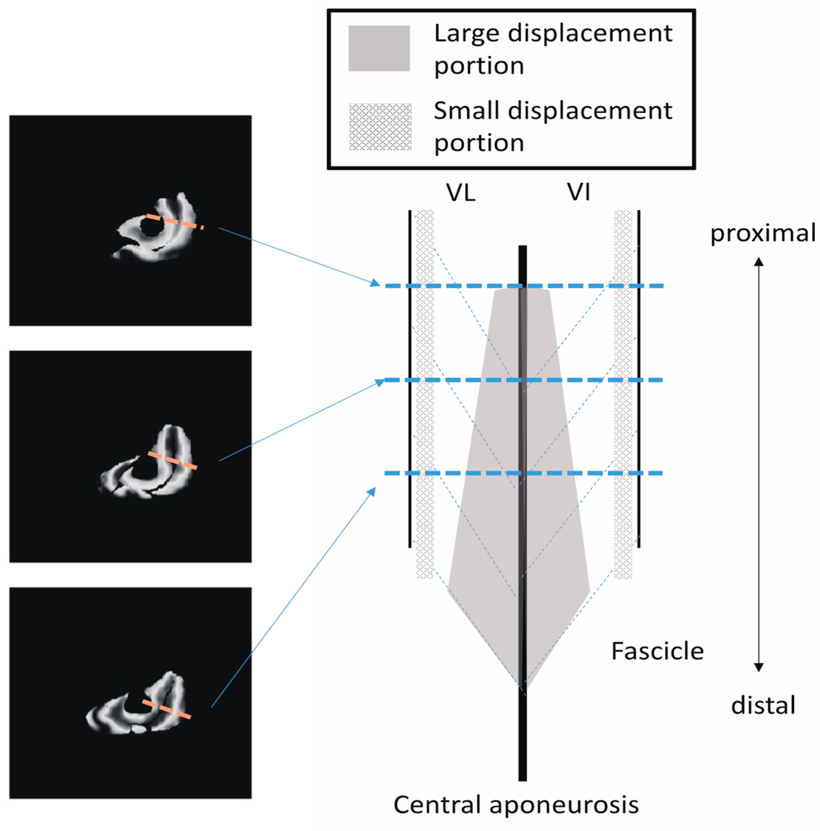Diagnostics 11 02280 g010 550