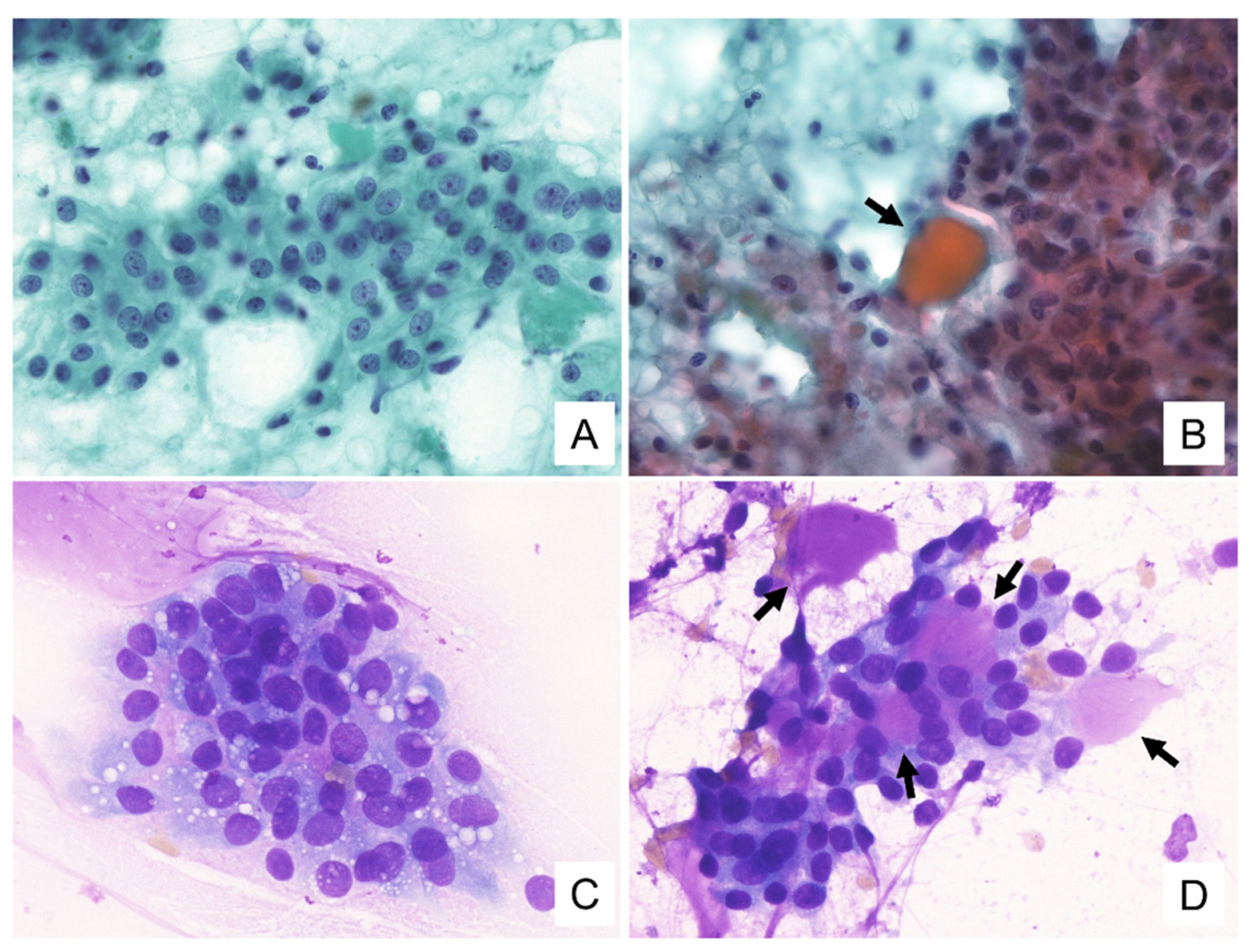 Diagnostics 11 02284 g002