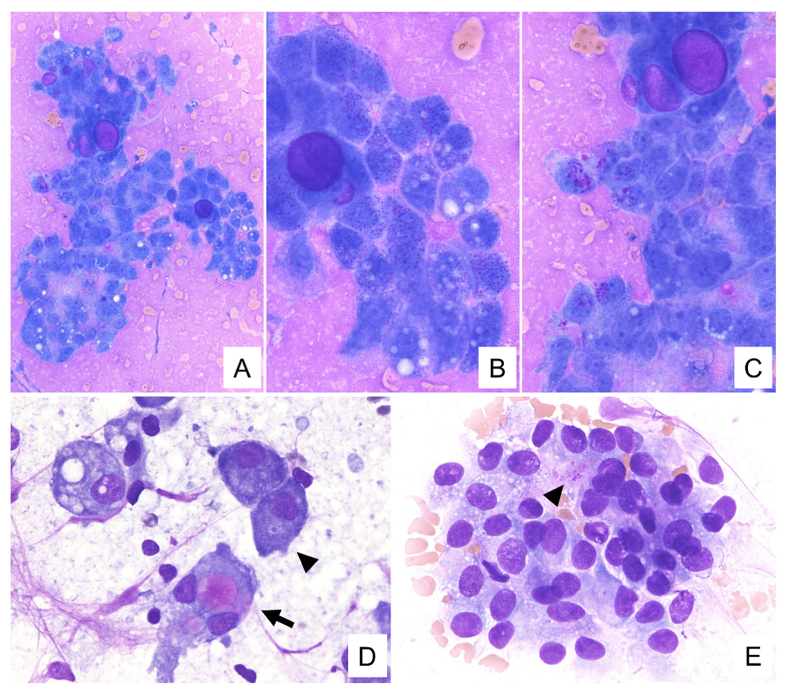 Diagnostics 11 02284 g003