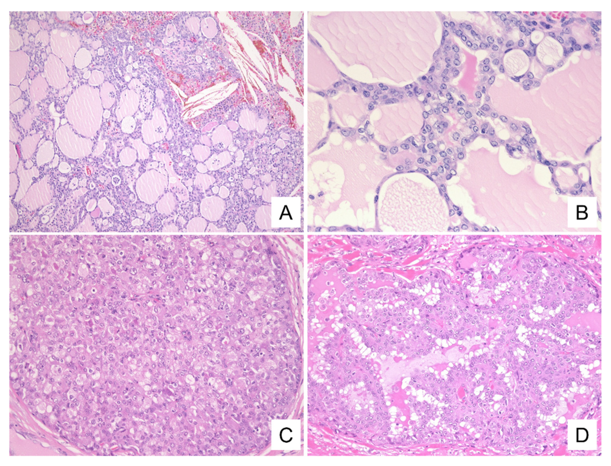 Diagnostics 11 02284 g004