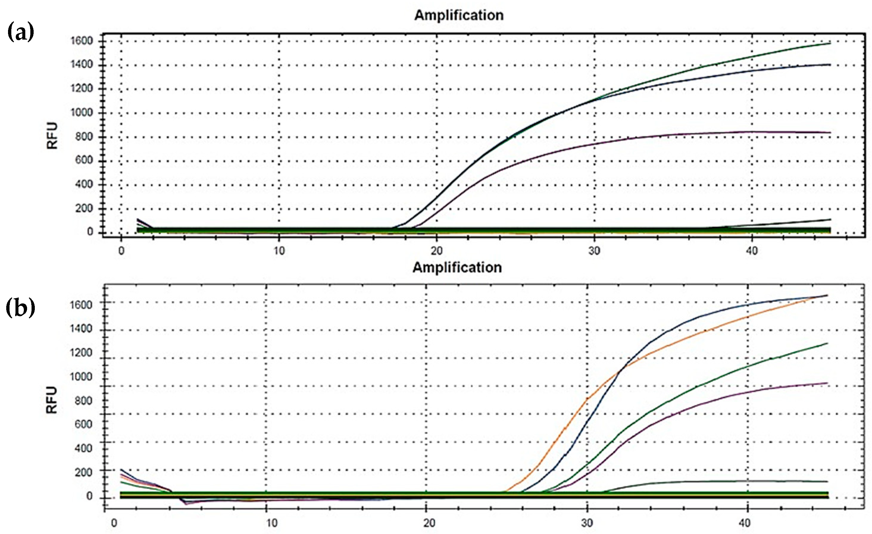 Diagnostics 11 02286 g001 550