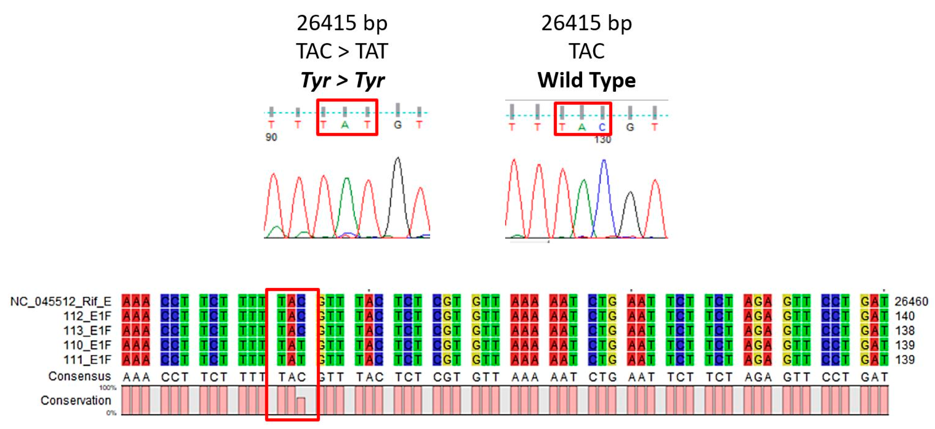 Diagnostics 11 02286 g002 550