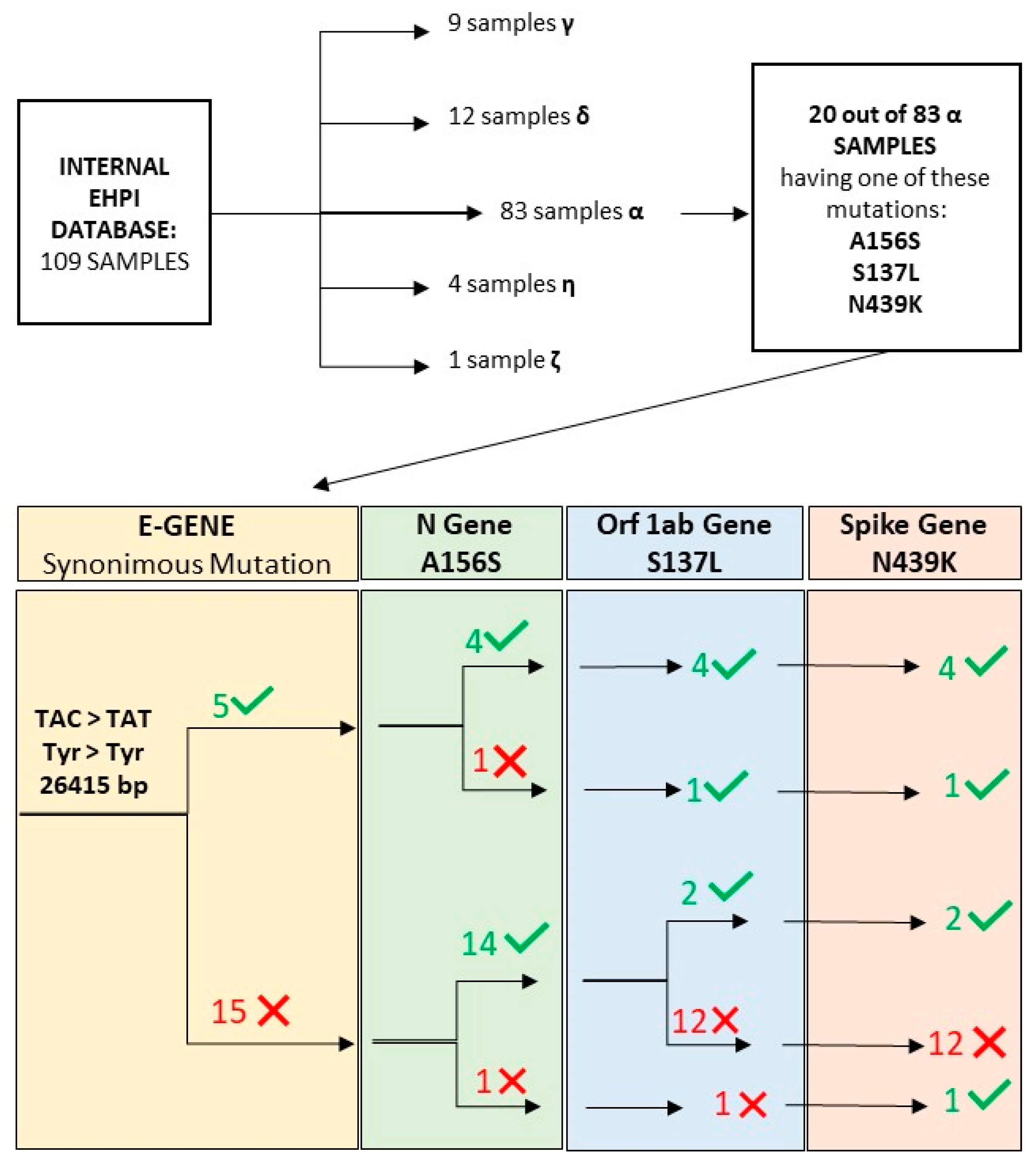 Diagnostics 11 02286 g003 550