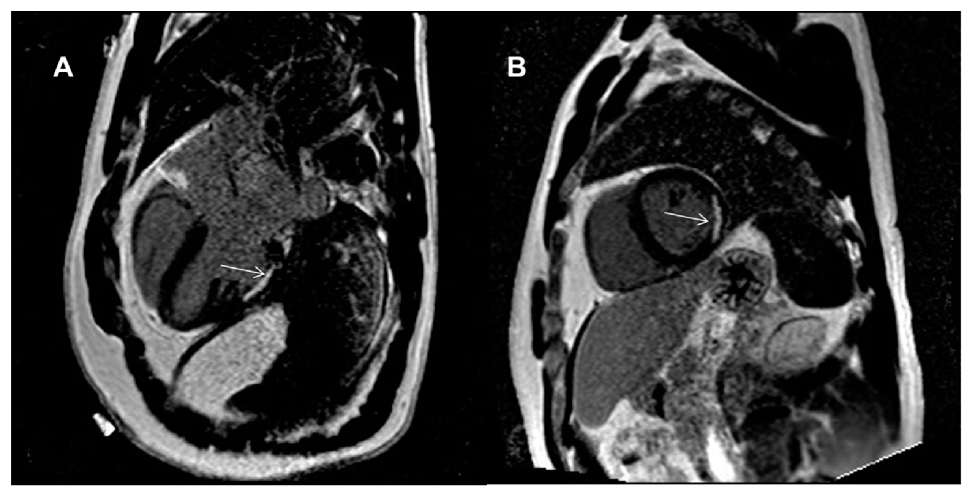 Diagnostics 11 02290 g003