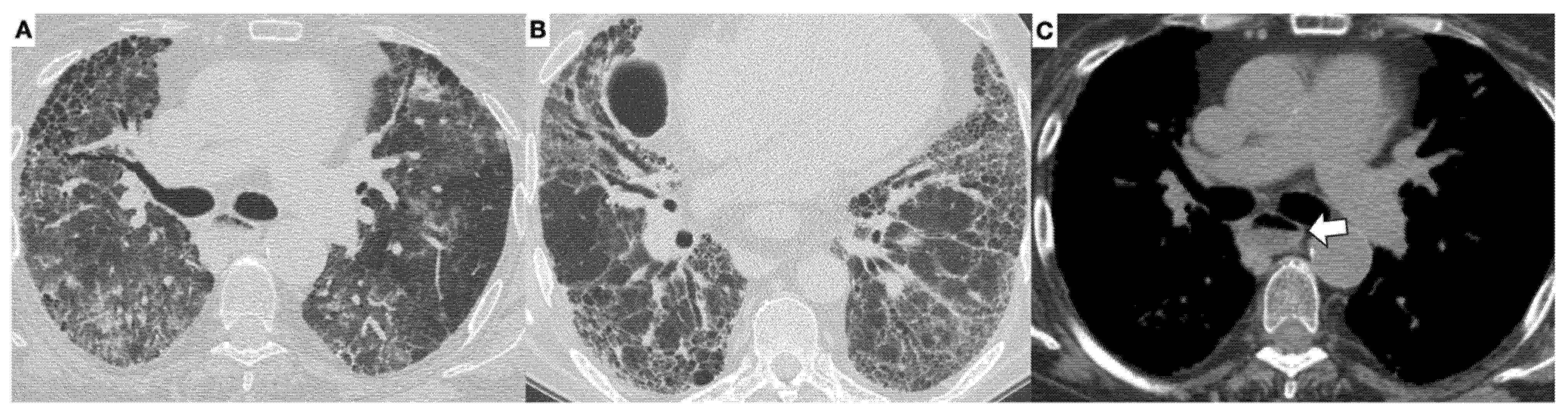 Diagnostics 11 02293 g003