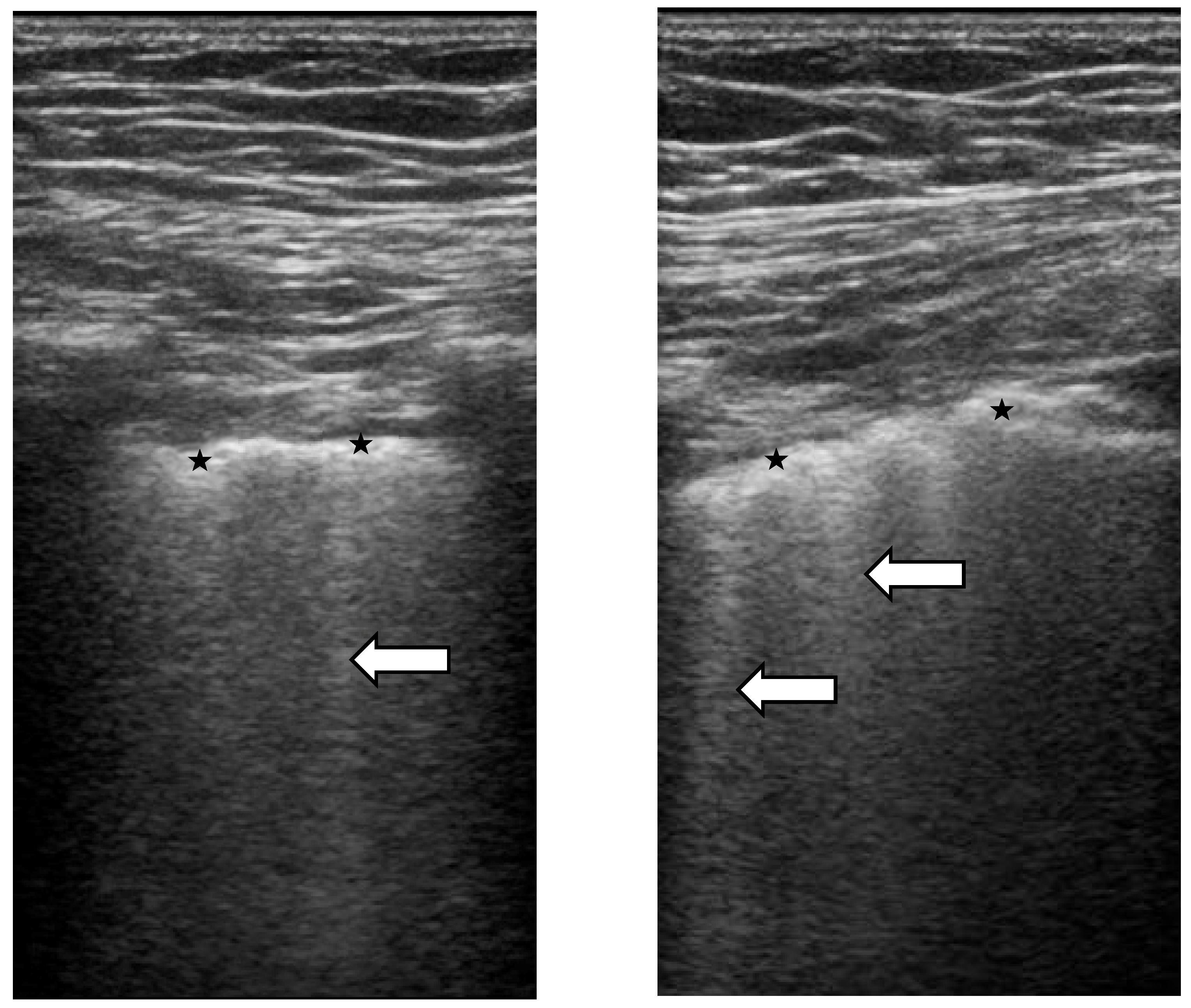 Diagnostics 11 02293 g004