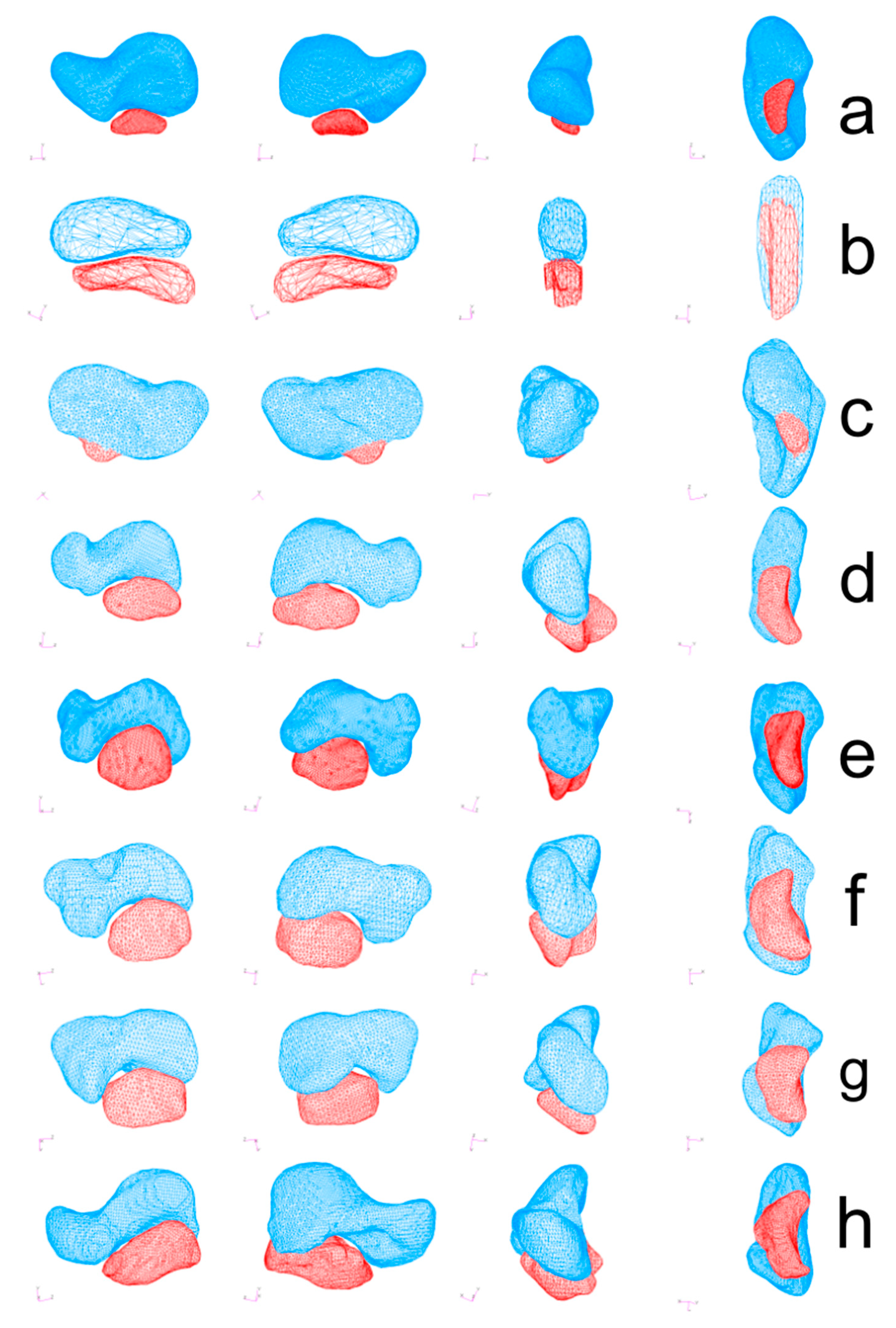 Diagnostics 11 02295 g002 Diagnostics 11 02295 g002