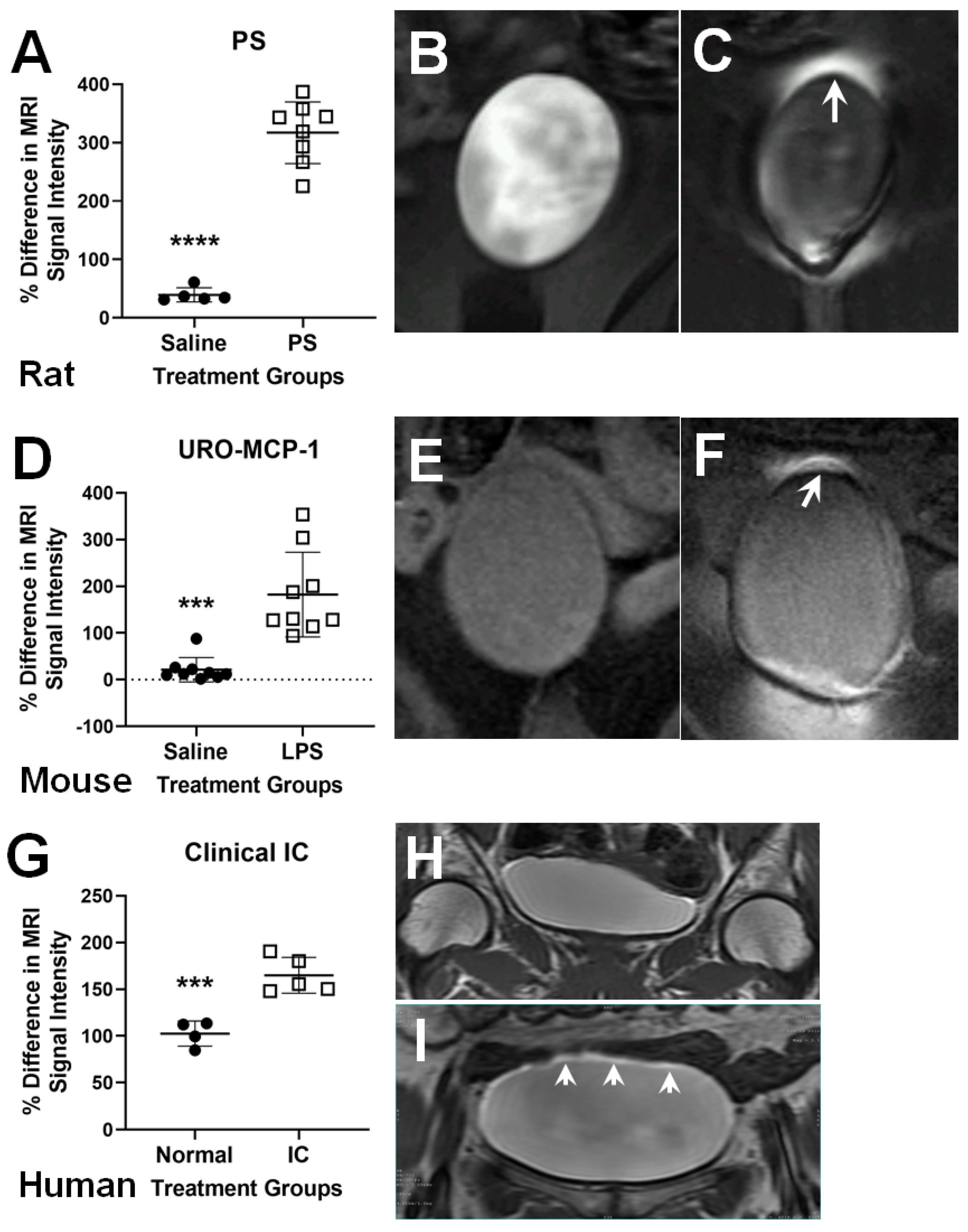 Diagnostics 11 02298 g001