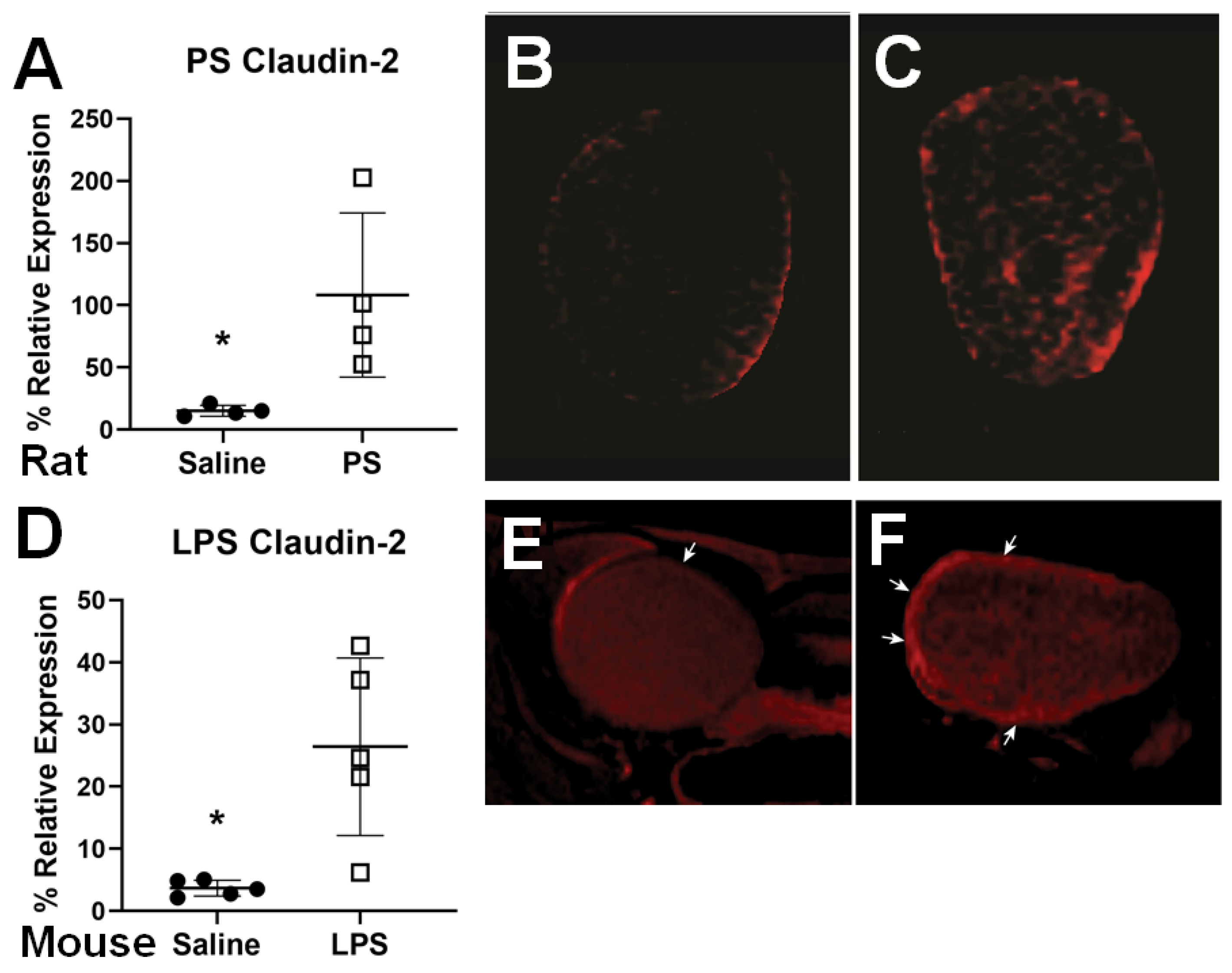 Diagnostics 11 02298 g003