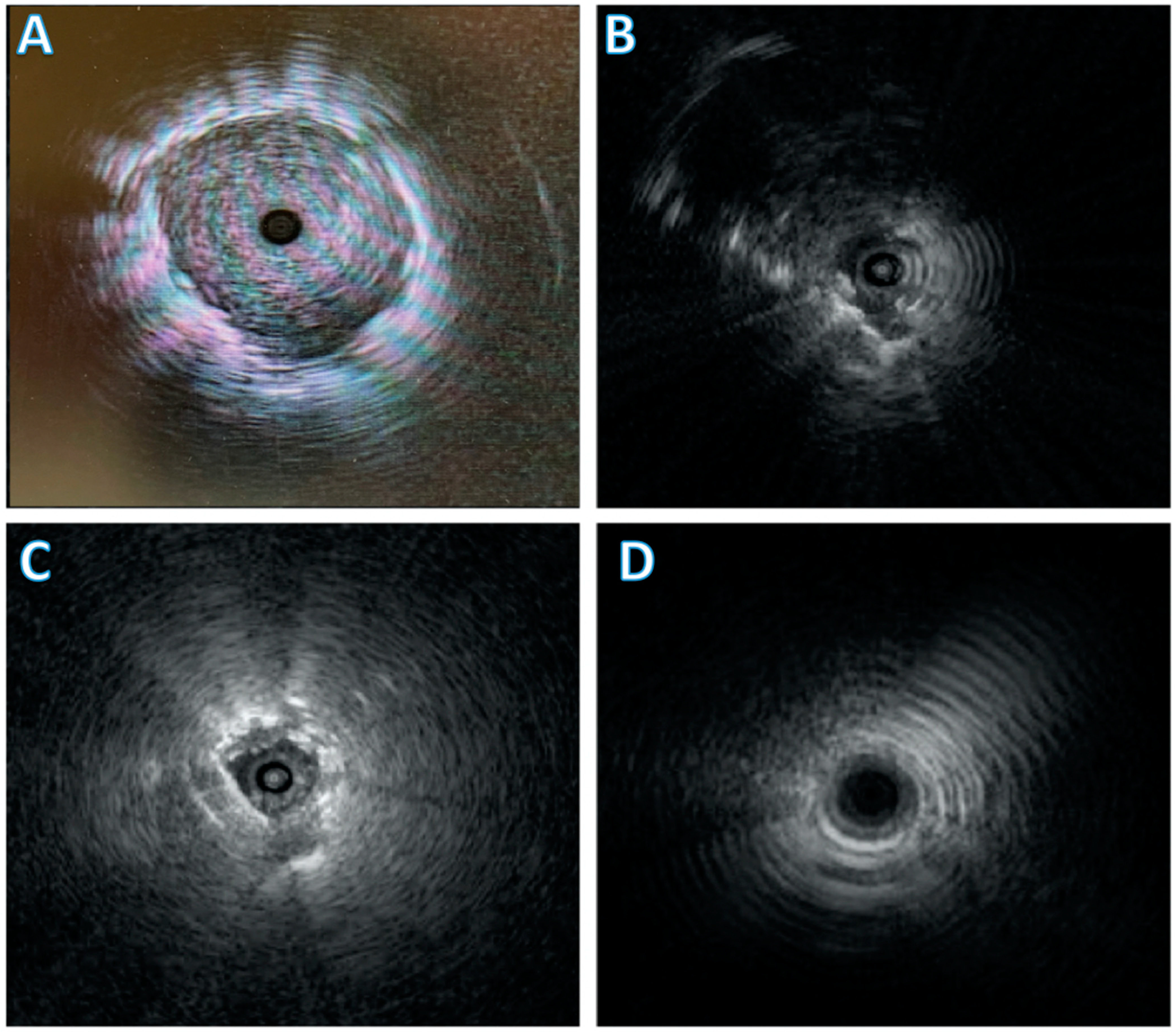 Diagnostics 11 02304 g001