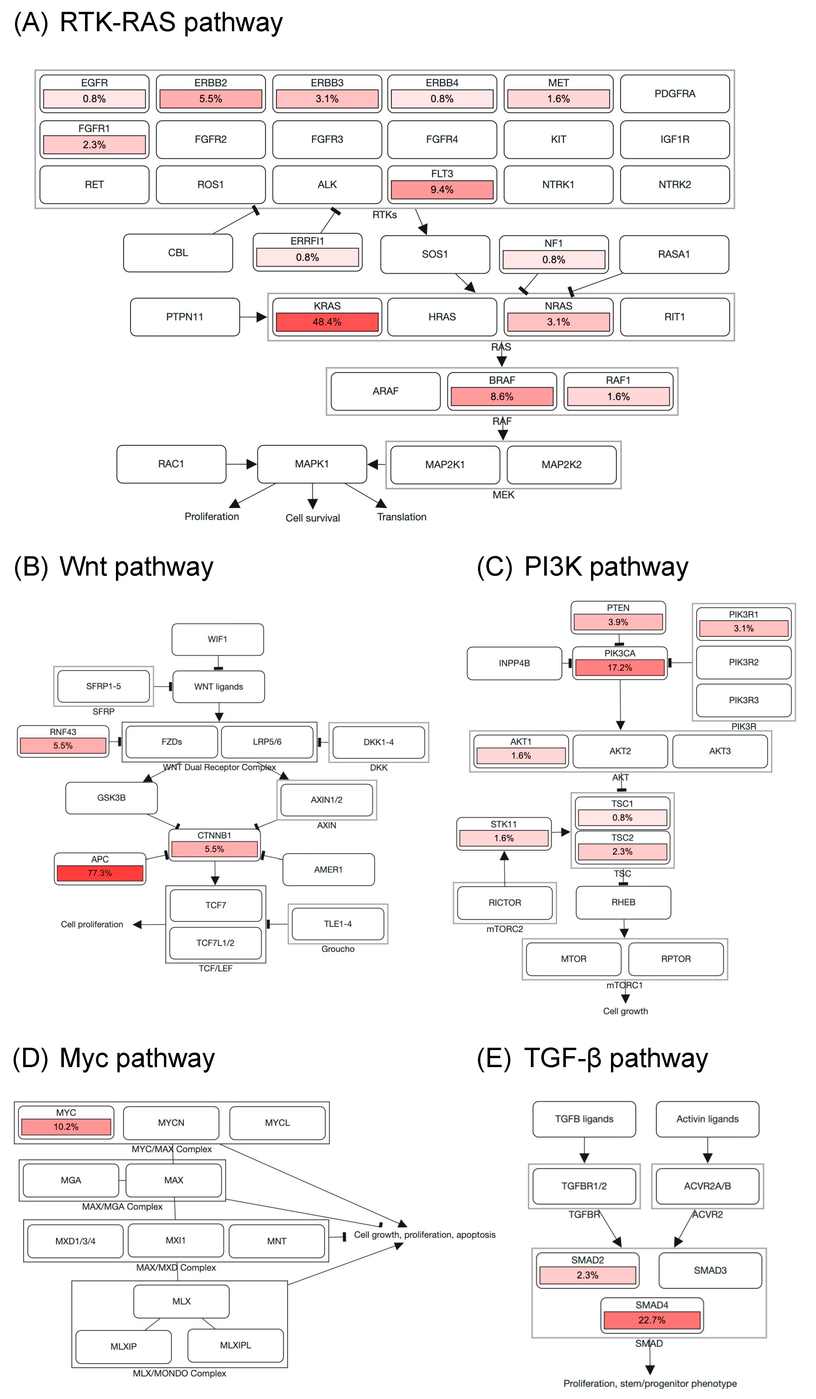 Diagnostics 11 02308 g003