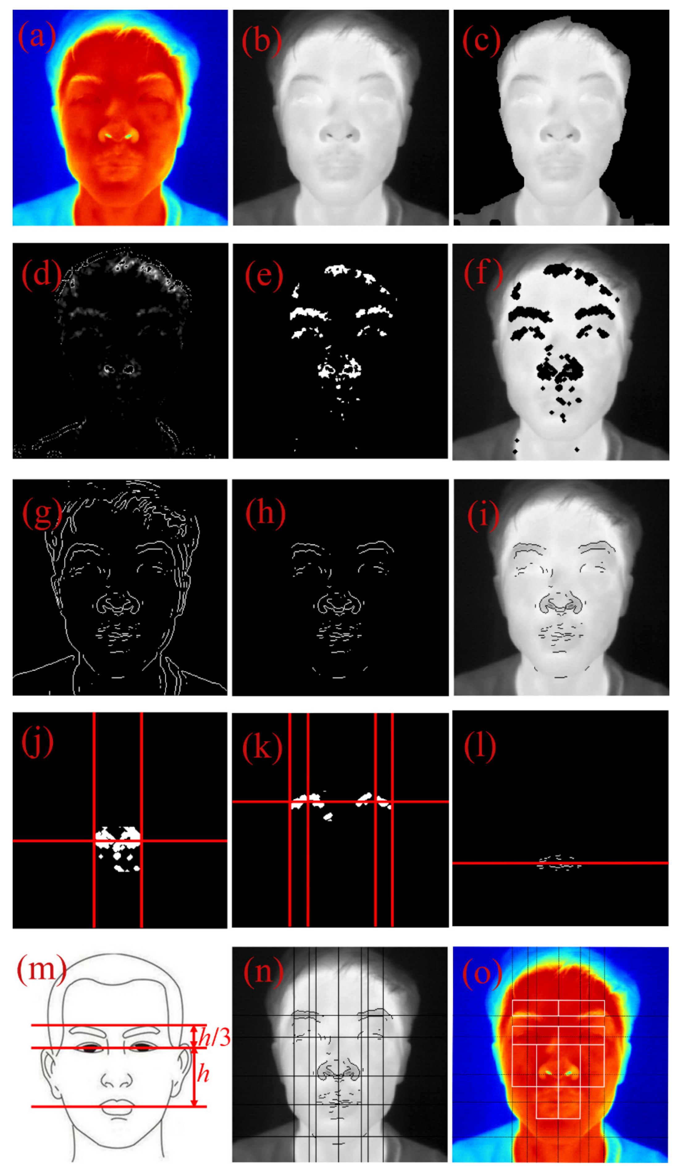 Diagnostics 11 02309 g003 550
