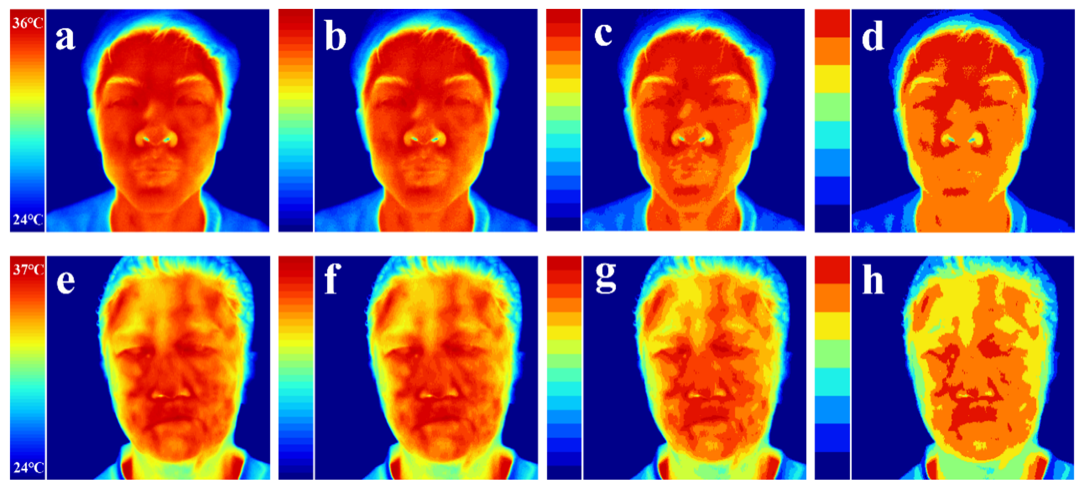 Diagnostics 11 02309 g005 550