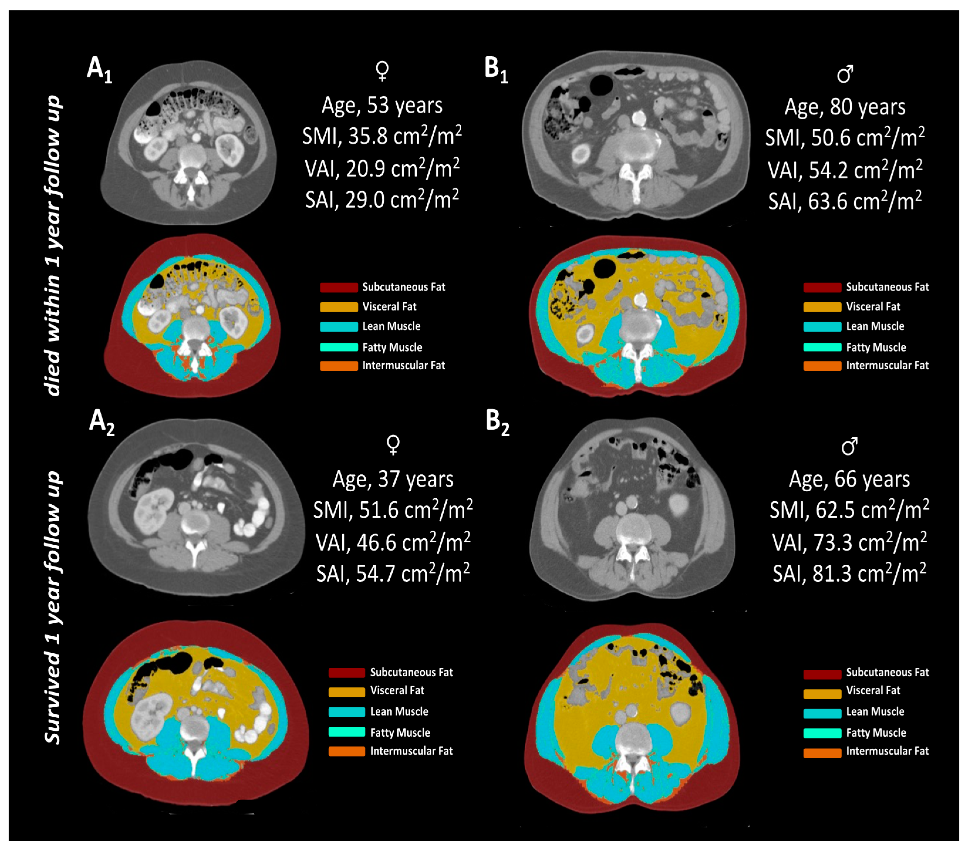 Diagnostics 11 02314 g001 550