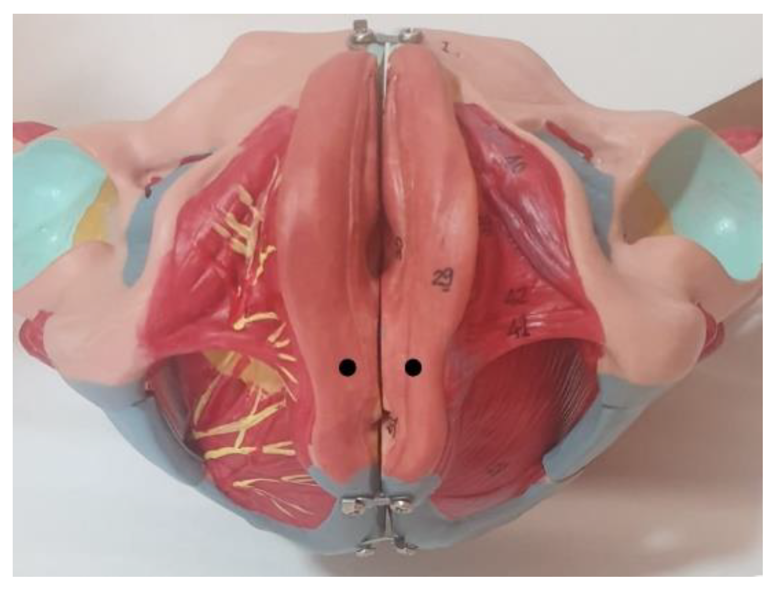 Diagnostics 11 02315 g001 Diagnostics 11 02315 g001