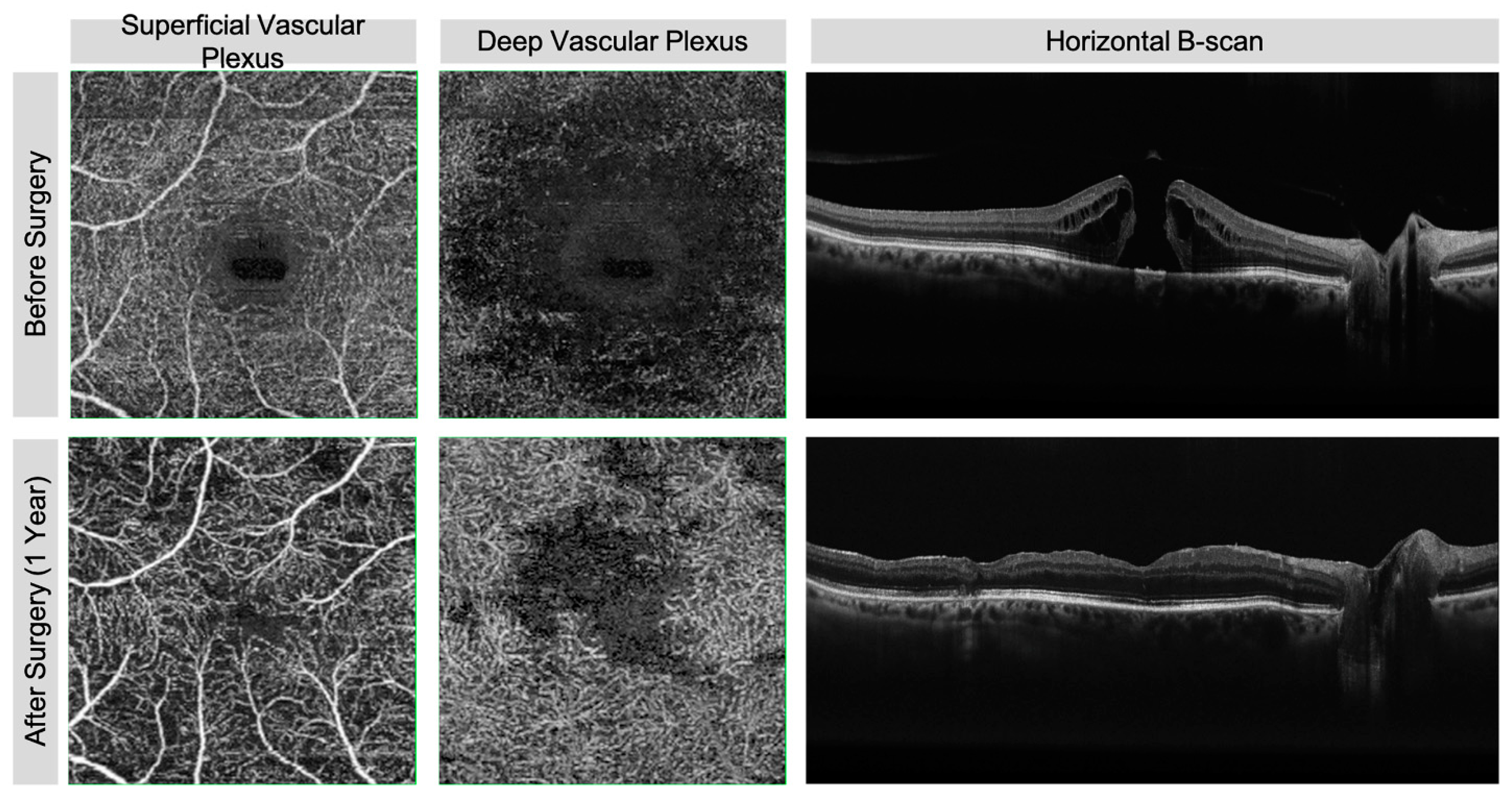 Diagnostics 11 02319 g001