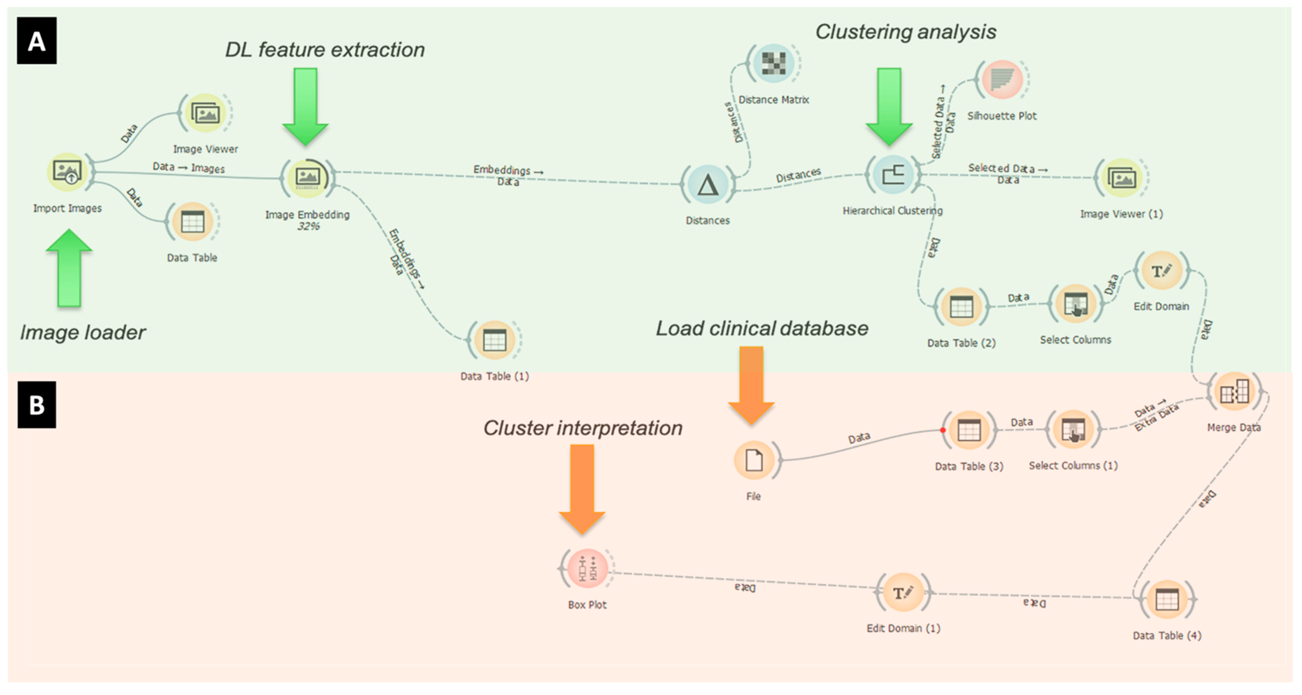 Diagnostics 11 02319 g003