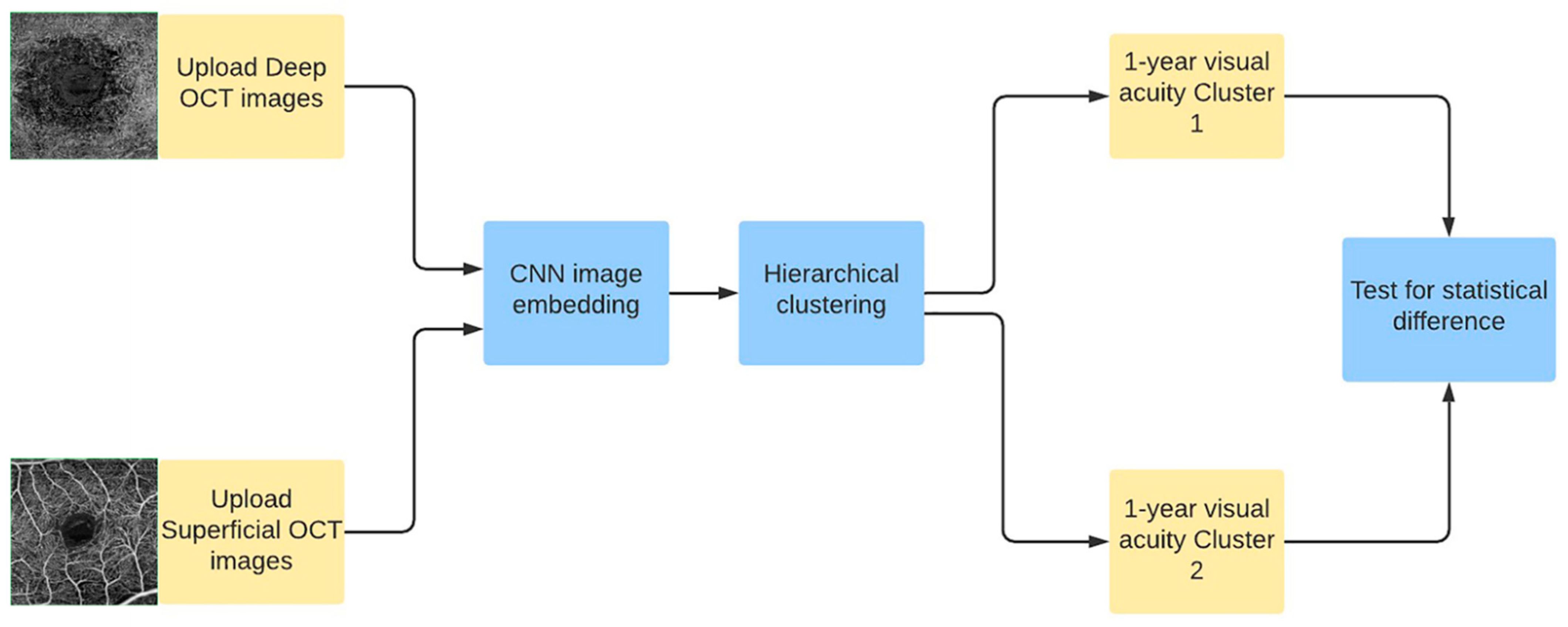 Diagnostics 11 02319 g004