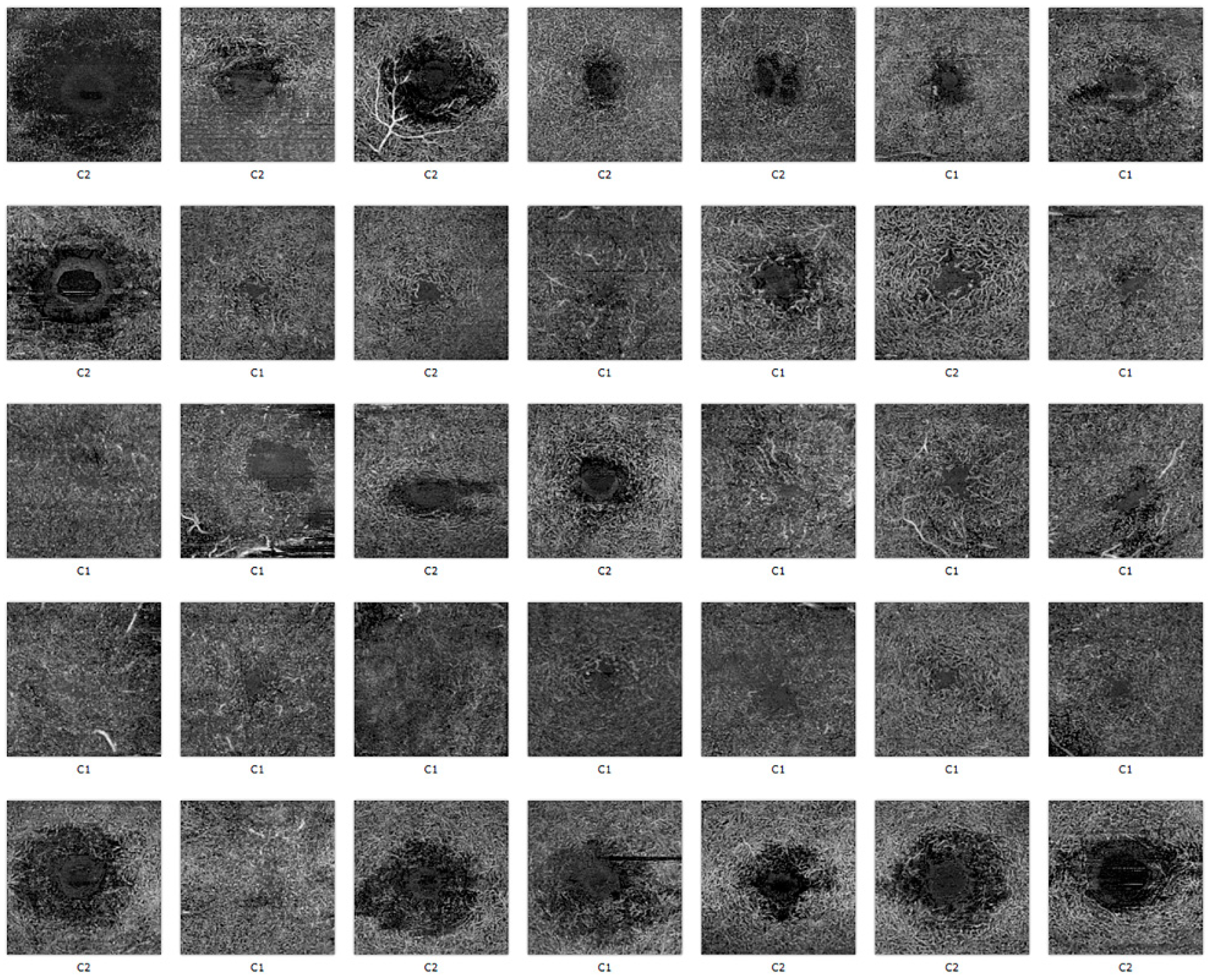 Diagnostics 11 02319 g007