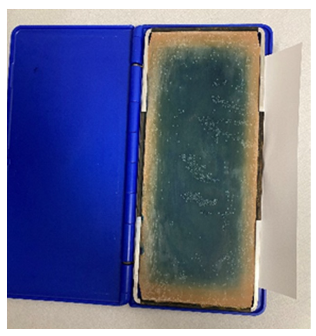 Diagnostics 11 02322 g001