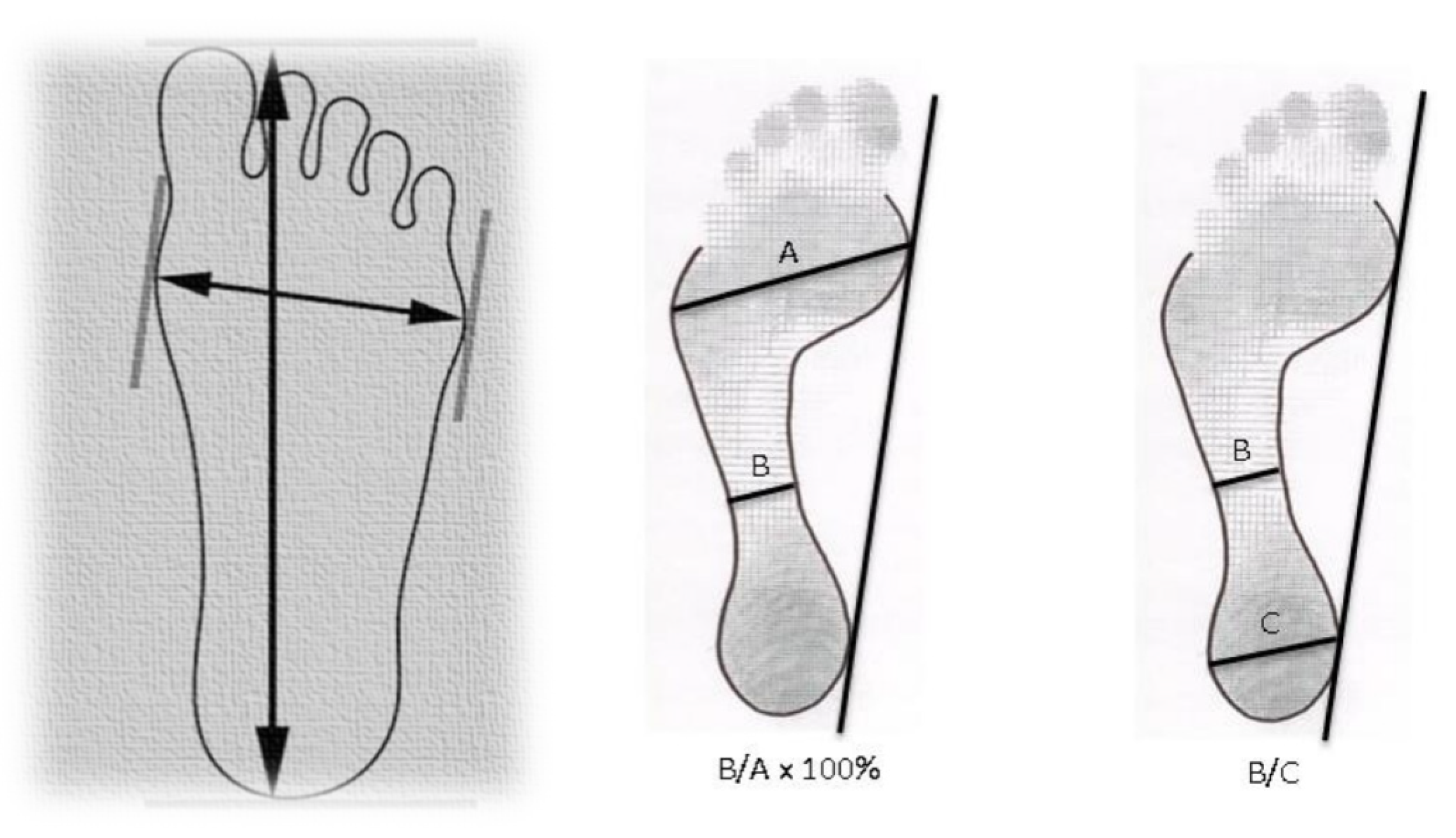 Diagnostics 11 02322 g003