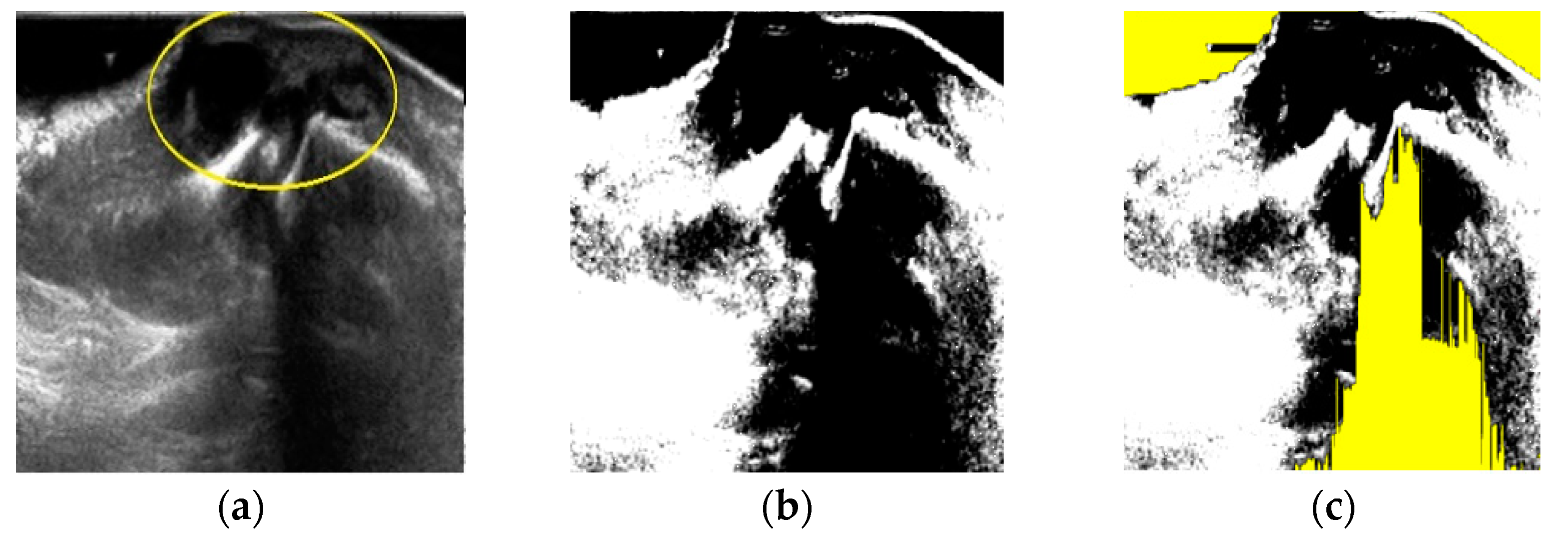 Diagnostics 11 02329 g002 Diagnostics 11 02329 g002