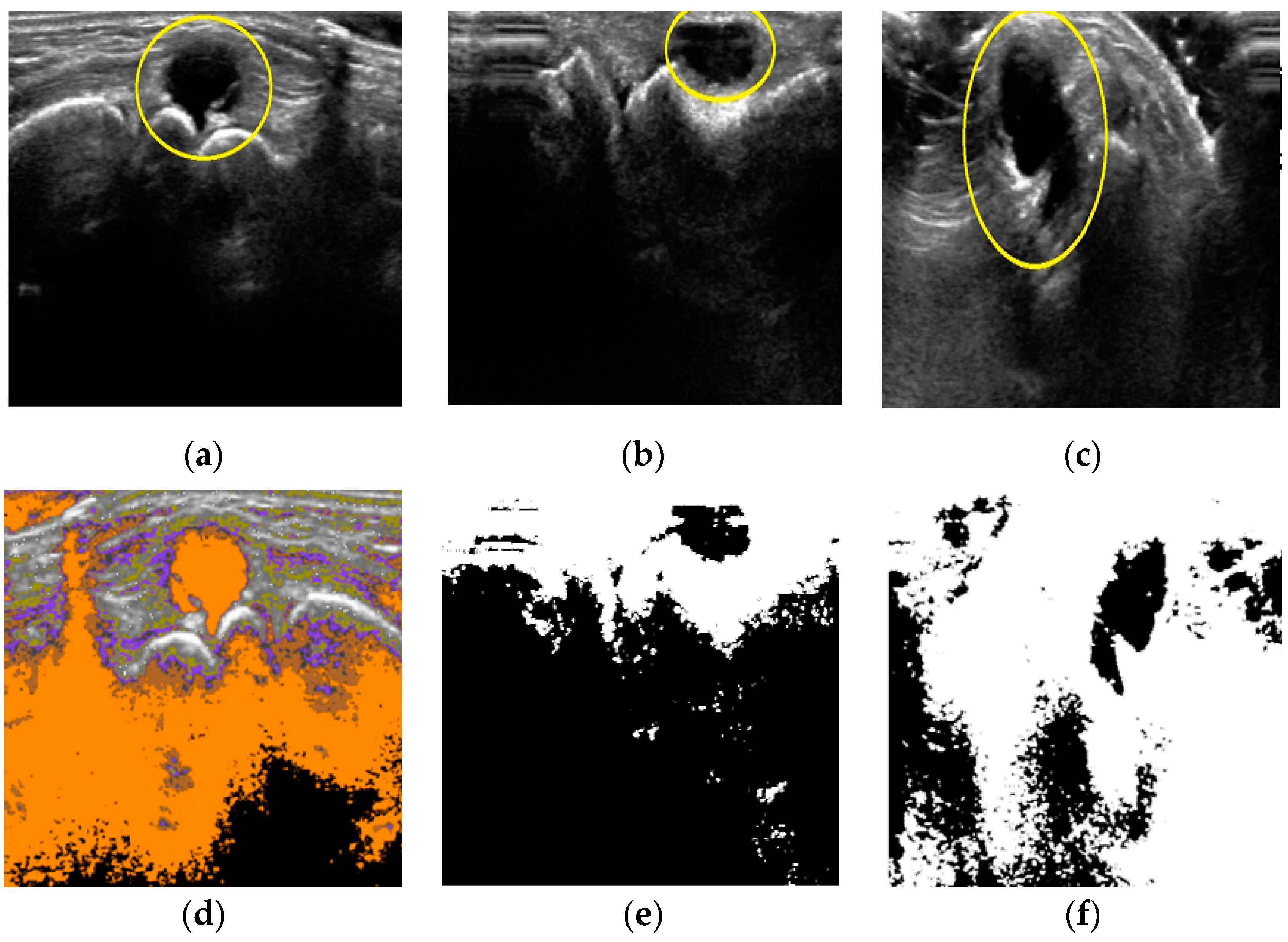 Diagnostics 11 02329 g004 Diagnostics 11 02329 g004