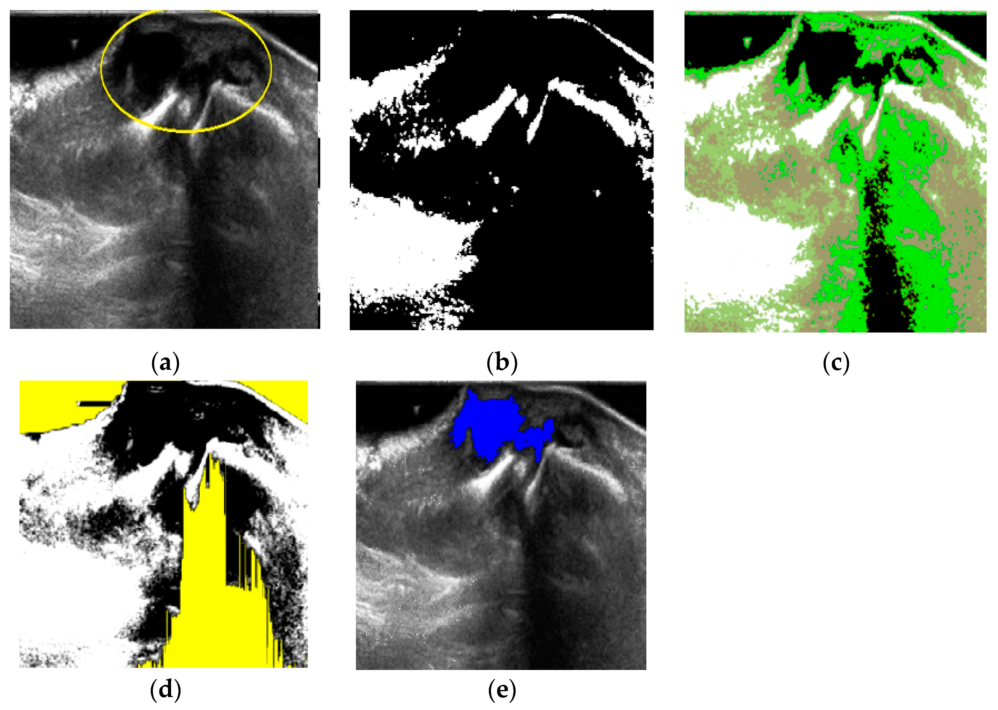 Diagnostics 11 02329 g006 Diagnostics 11 02329 g006