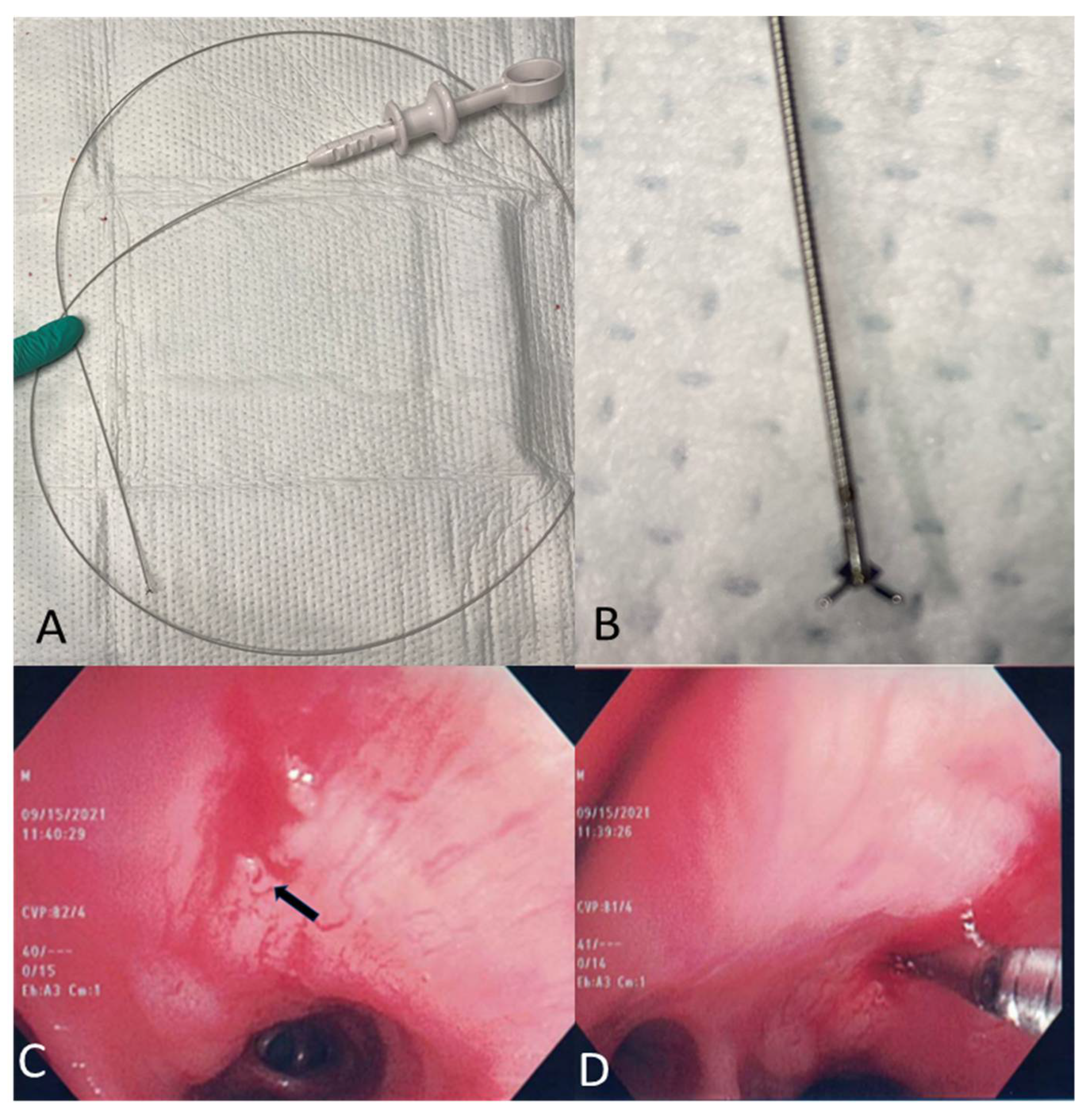 Diagnostics 11 02331 g002