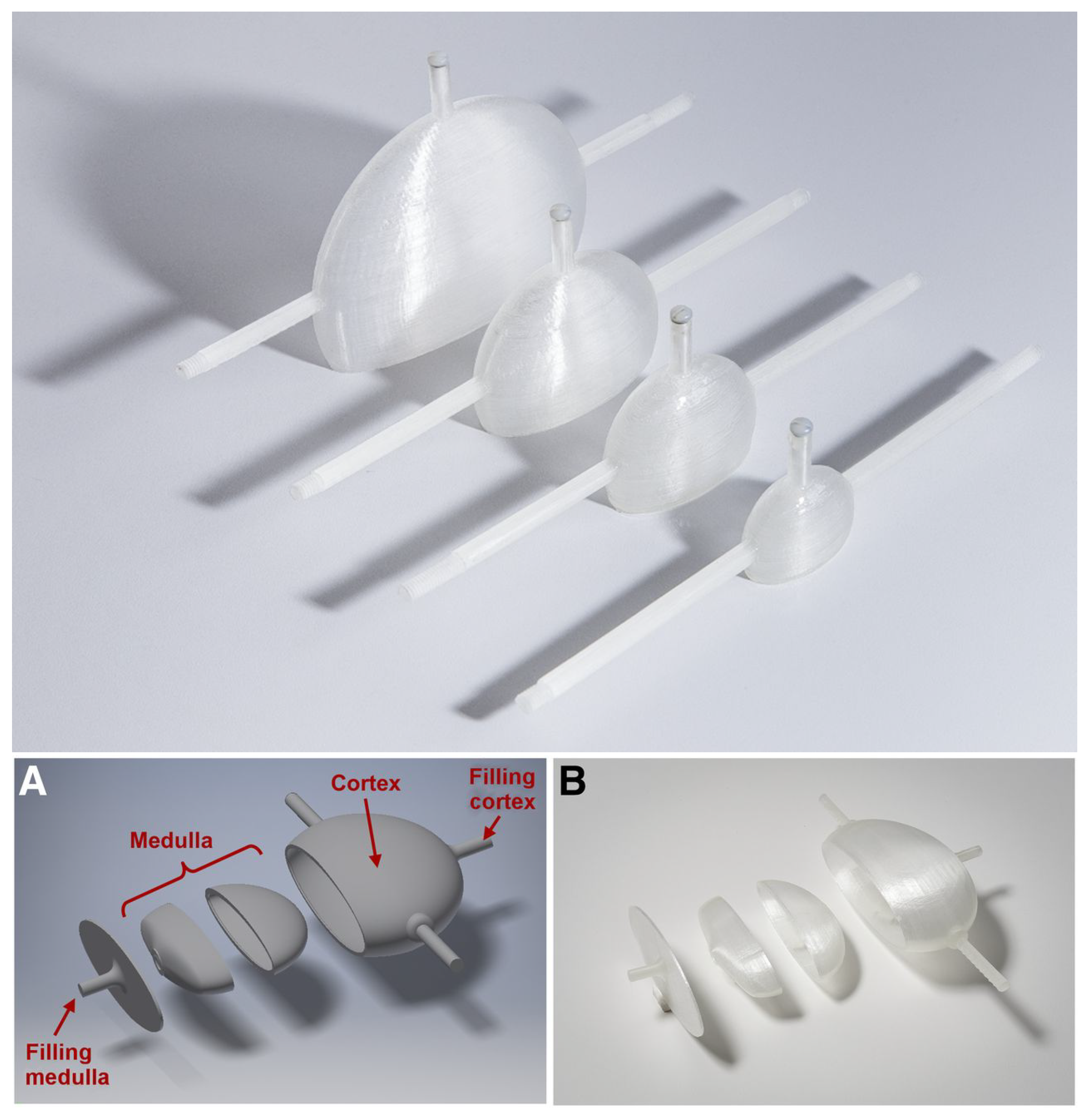 Diagnostics 11 02333 g003 Diagnostics 11 02333 g003