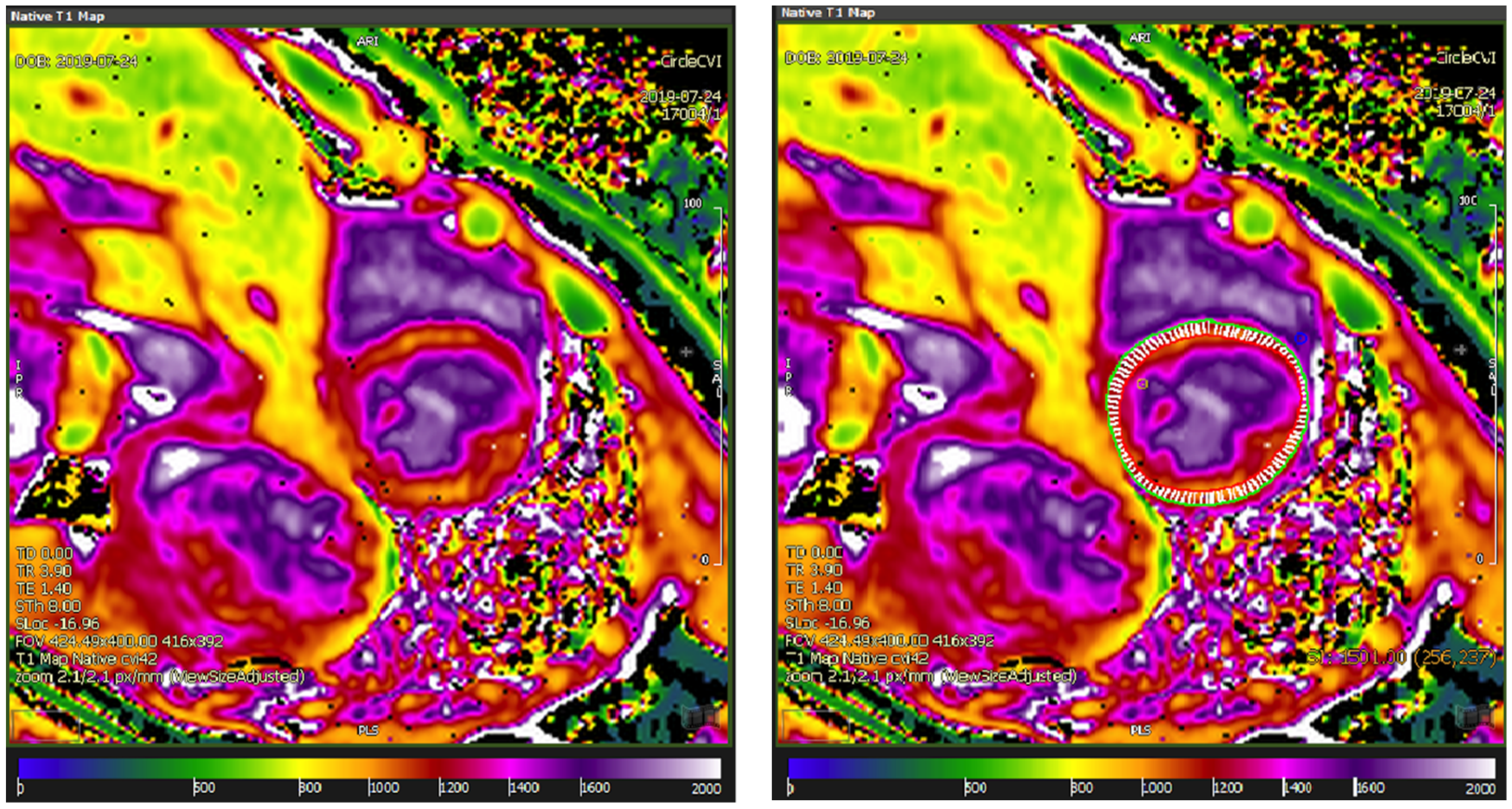 Diagnostics 11 02334 g002