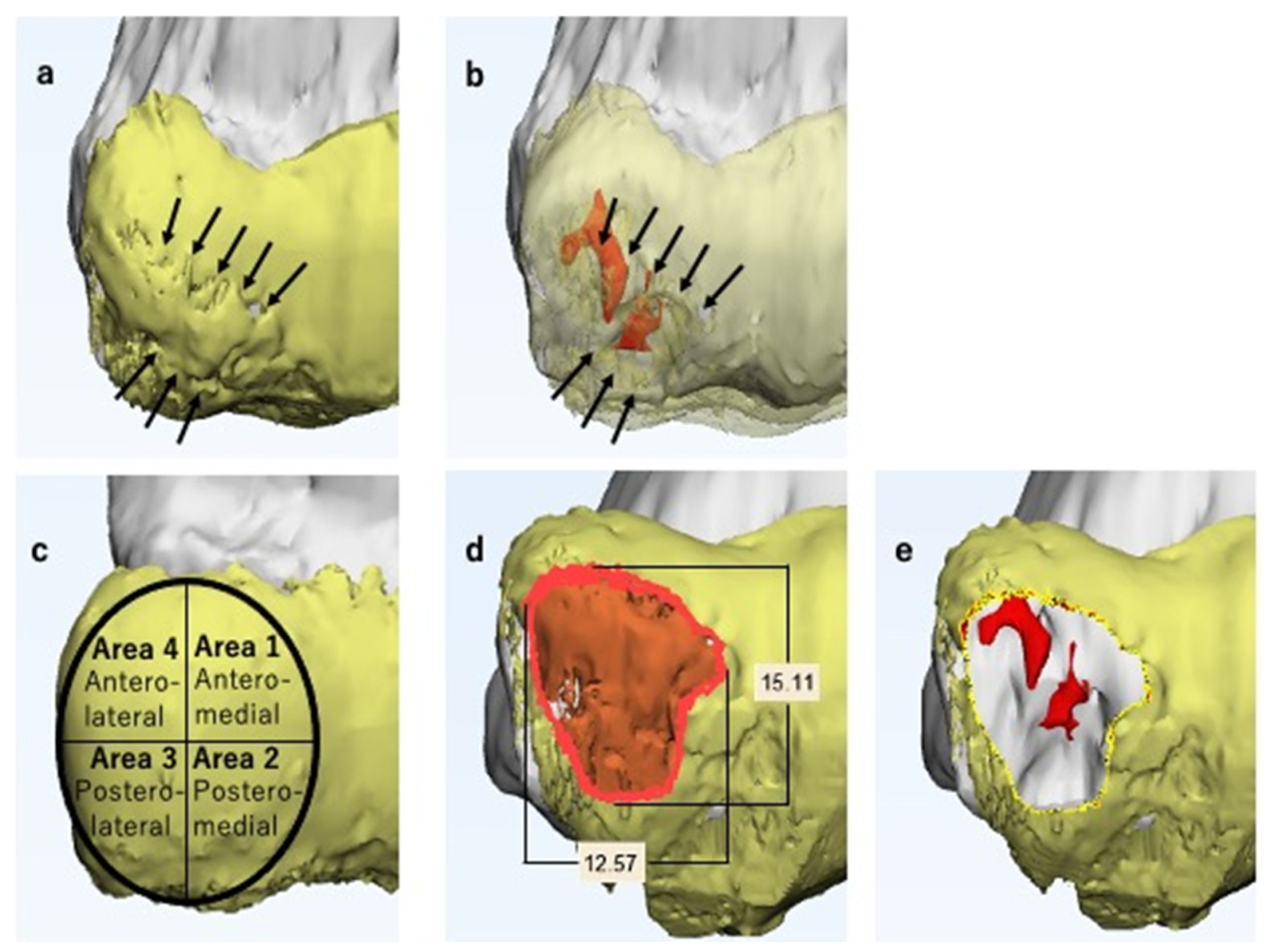 Diagnostics 11 02337 g005