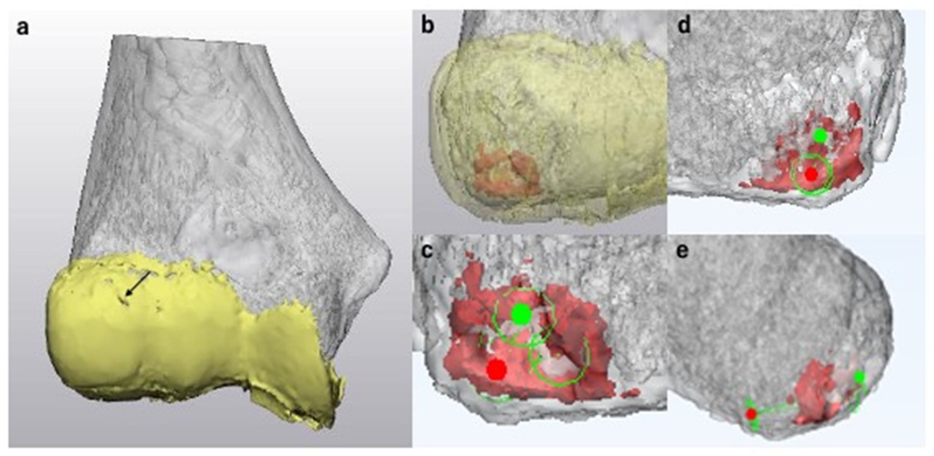 Diagnostics 11 02337 g008