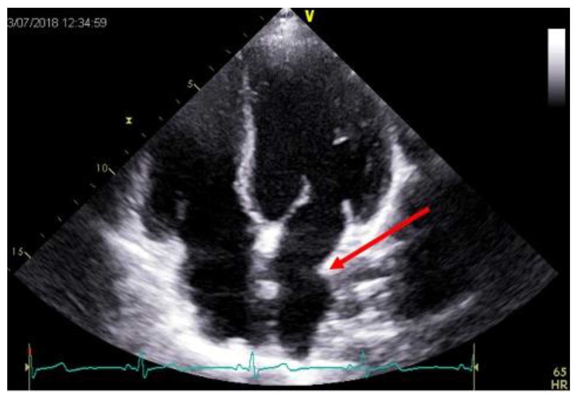 Diagnostics 11 02338 g002